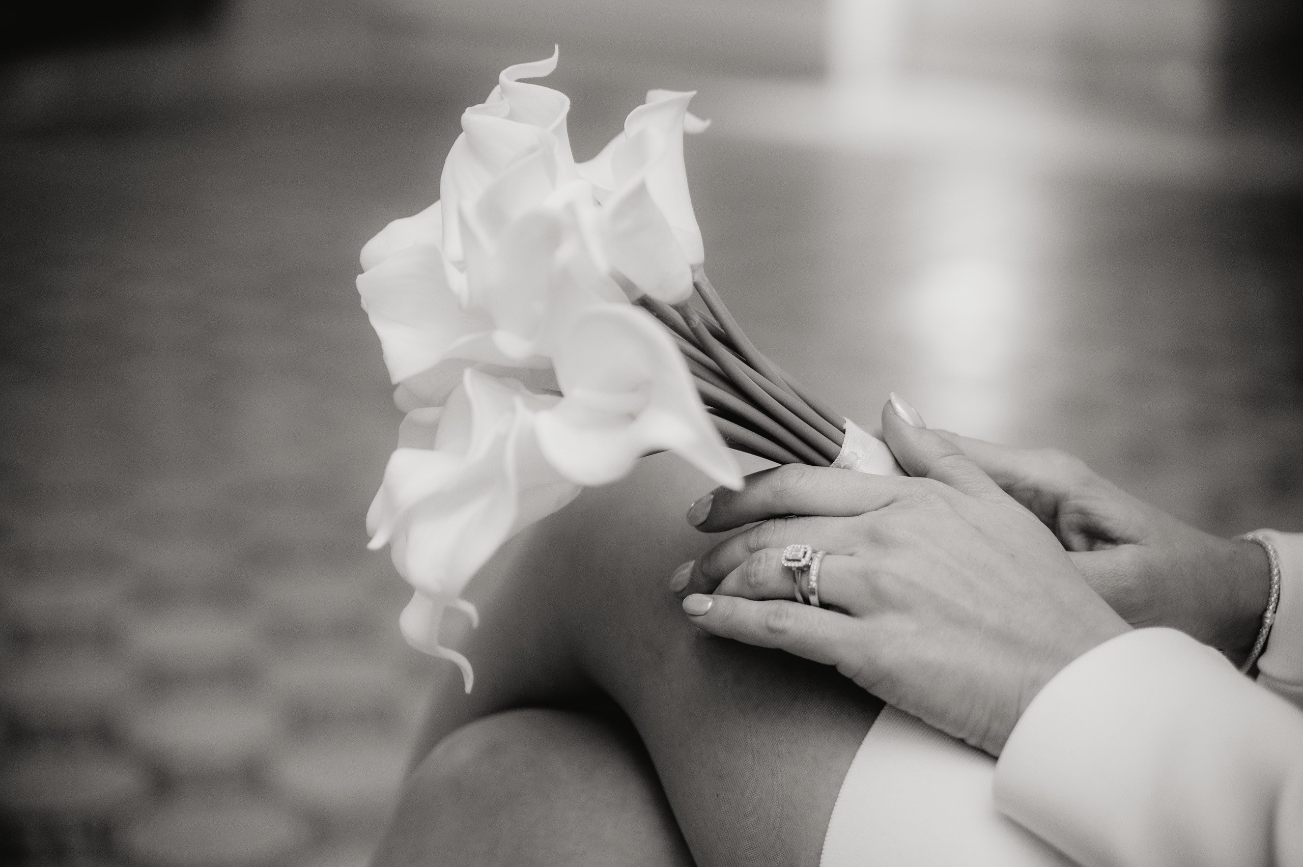 Fotografisanje vencanja. Bojana Žuža fotograf u Beogradu 📷 Belgrade photographer