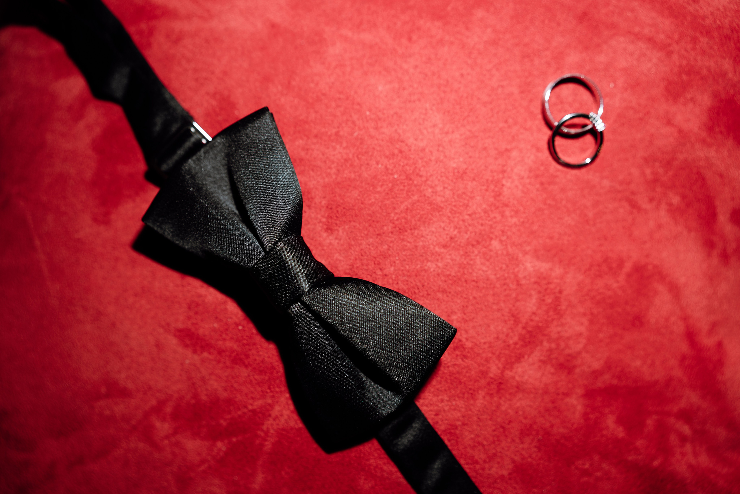 Stefan & Dorotea. NSJ — Wedding Studio