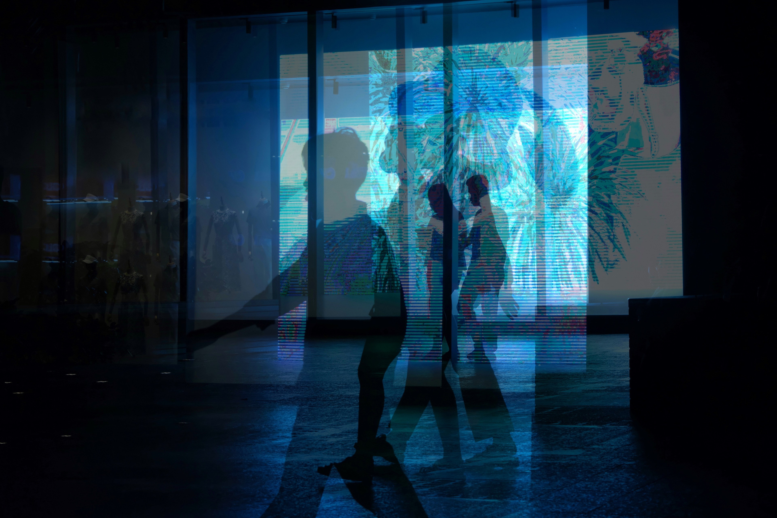 Photography. Fermented Solipsism artist & documentary photographer in California