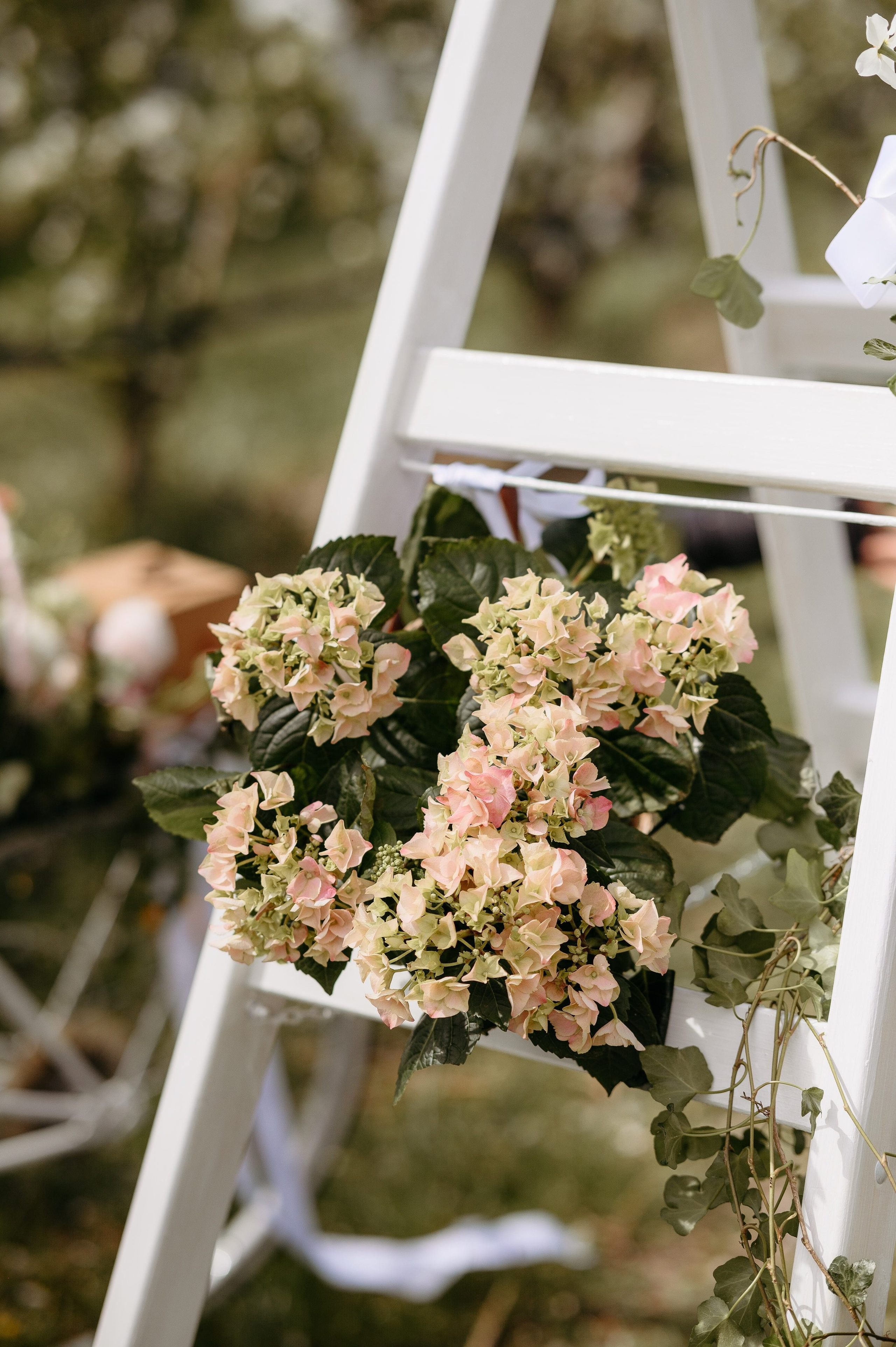 Elena. Valentin Melen - fotograf de nunta 🤍