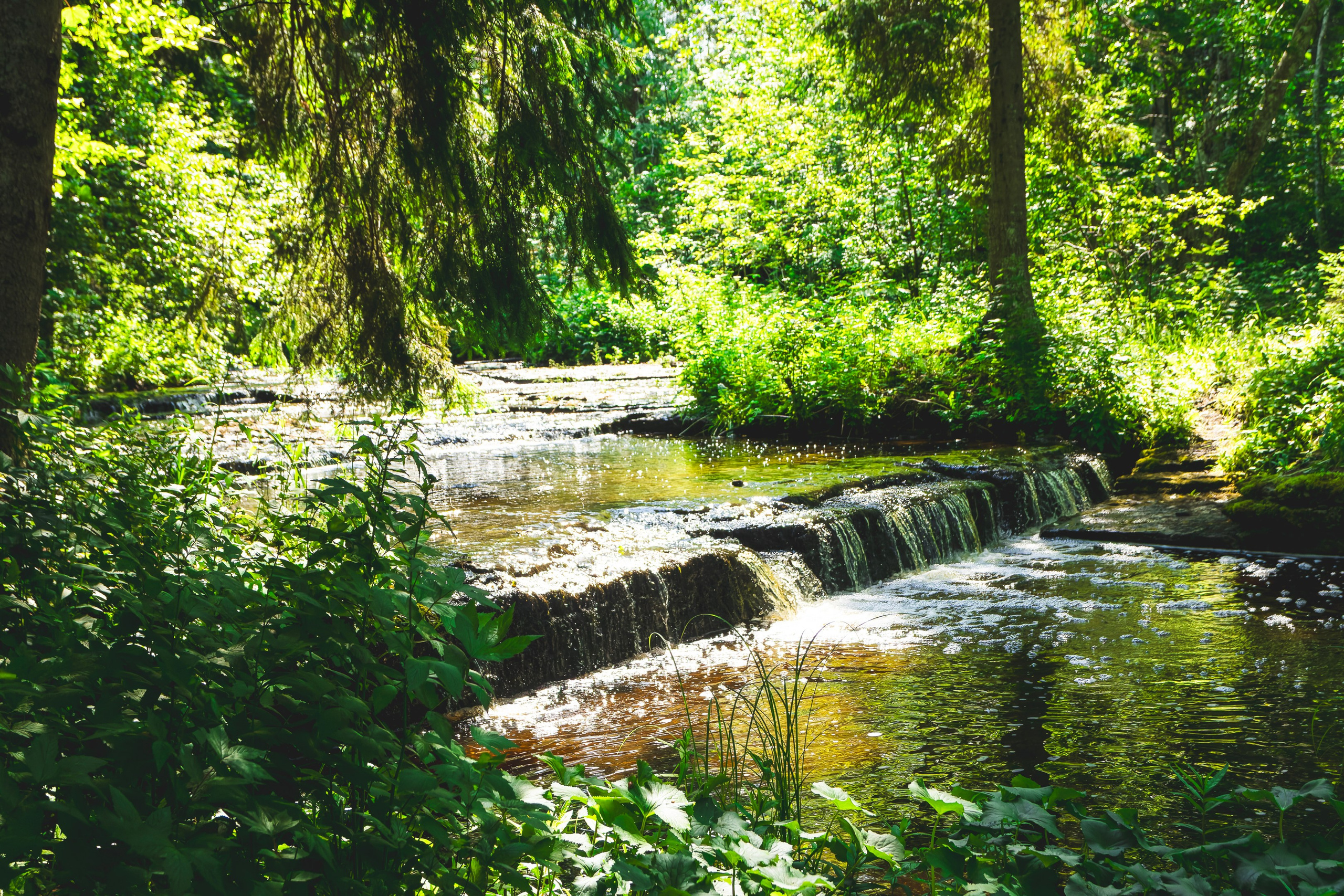 Jalgrattasõti, Klooga-Laagri (Kostja S. ja Ilja). Nebula 25 — Fotod teie hingele