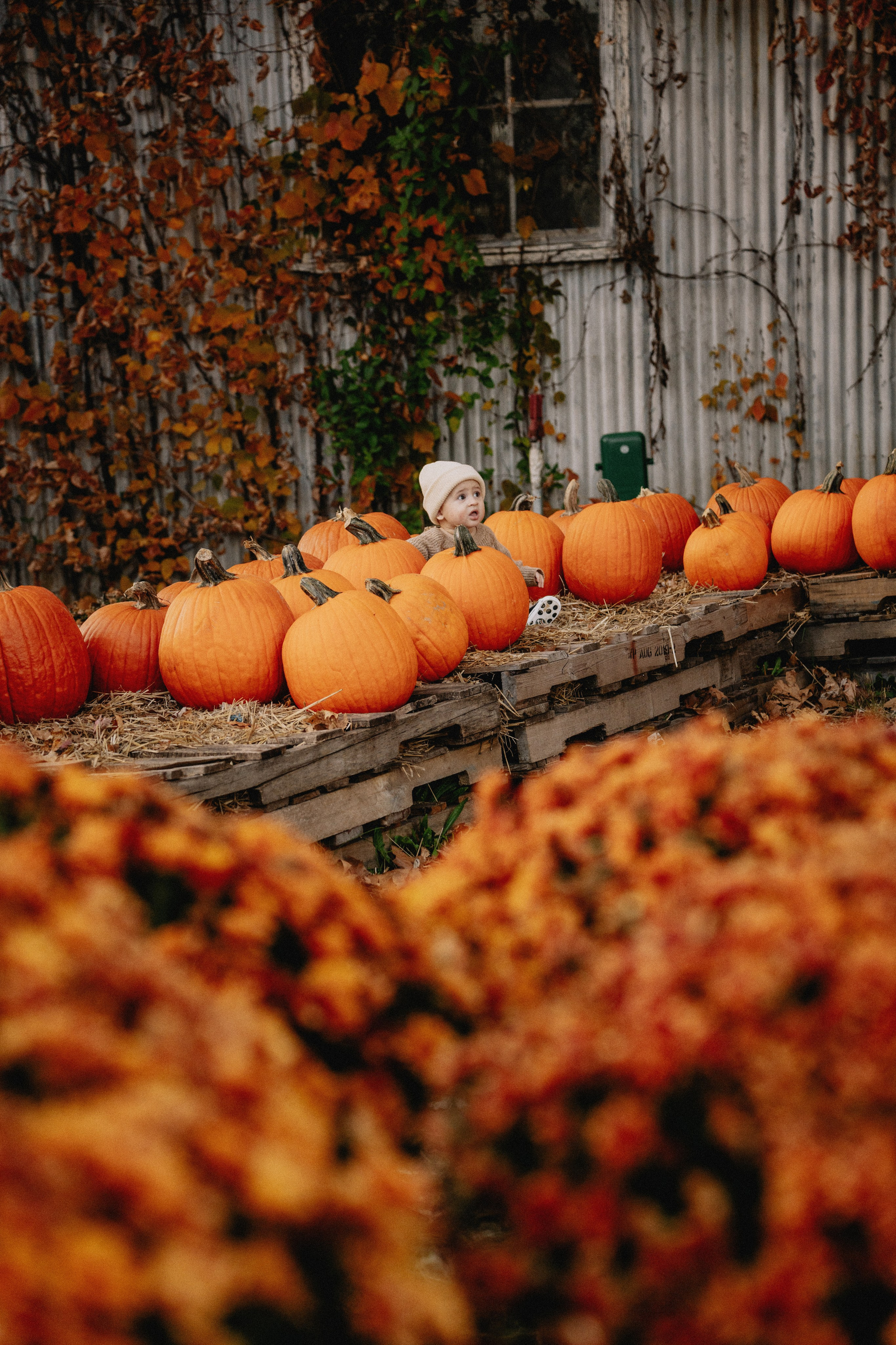 Family Photography in Nature – Candid & Beautiful Moments. Alisa Tant — Family and newborn photographer Bucks County, Montgomery county, Philadelphia, NJ