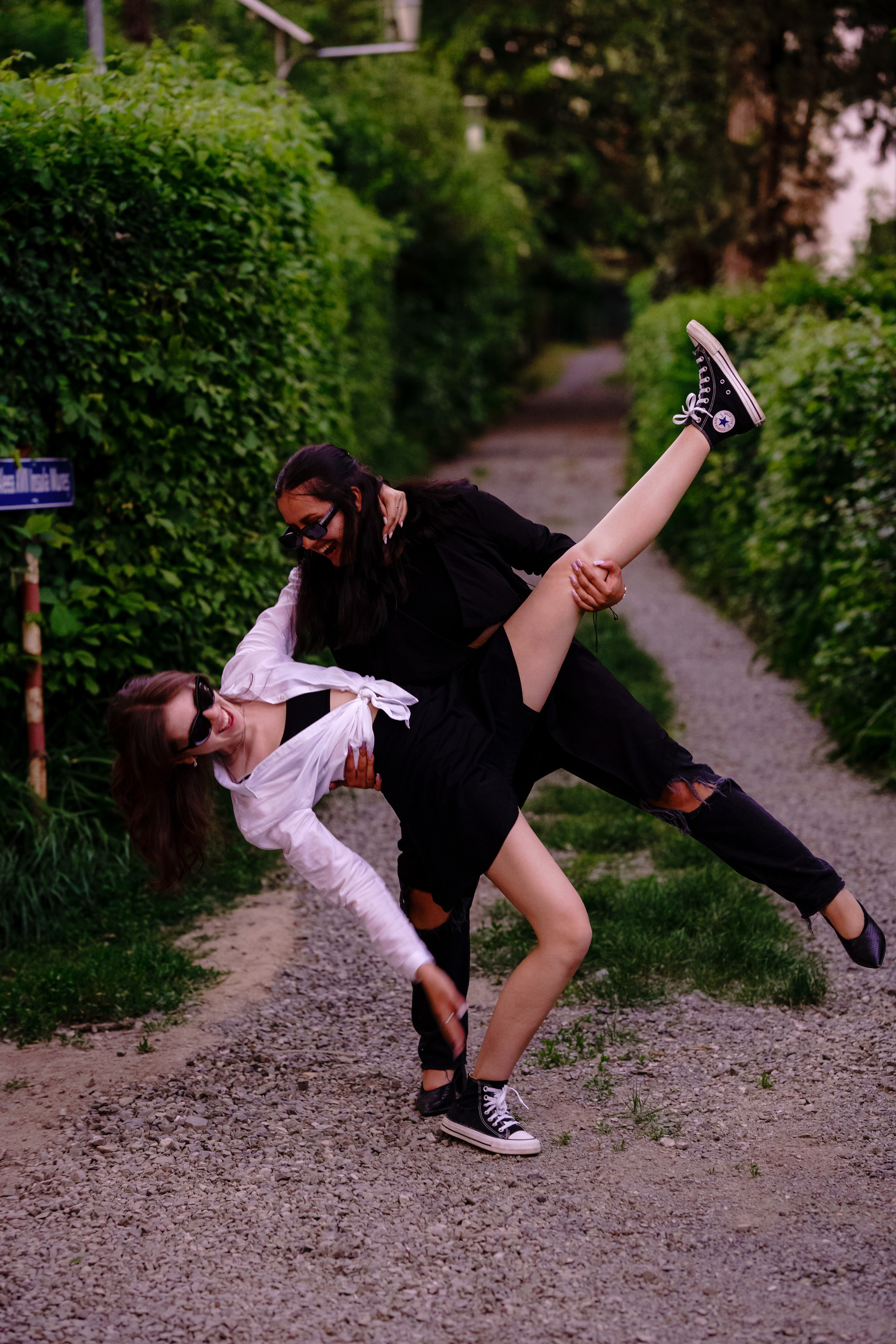 Distracție Gratuit. Trendy Albums