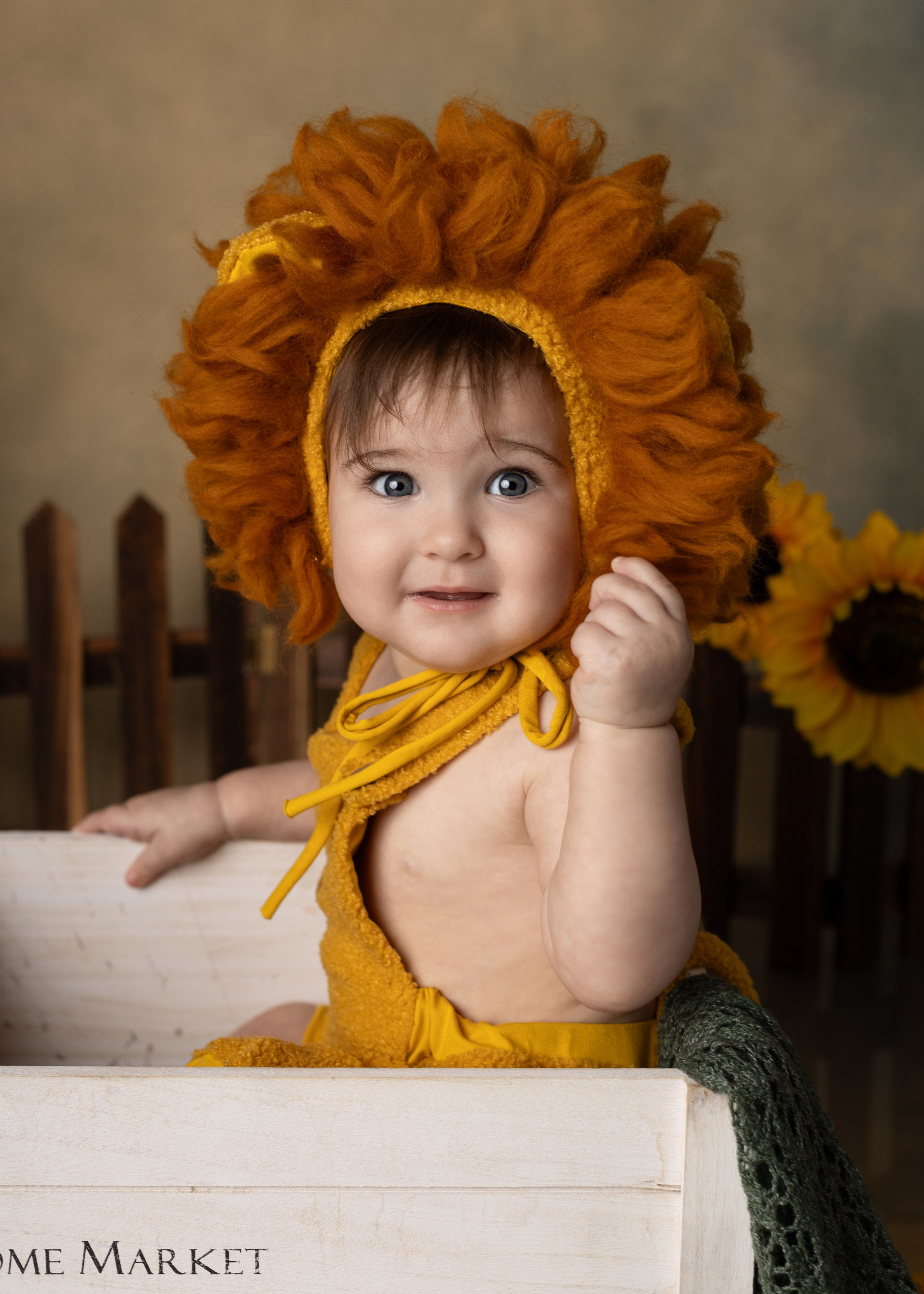 Каталог 10 Годик. Катерина Шустерман — фотограф Newborn, семейный в Израиле