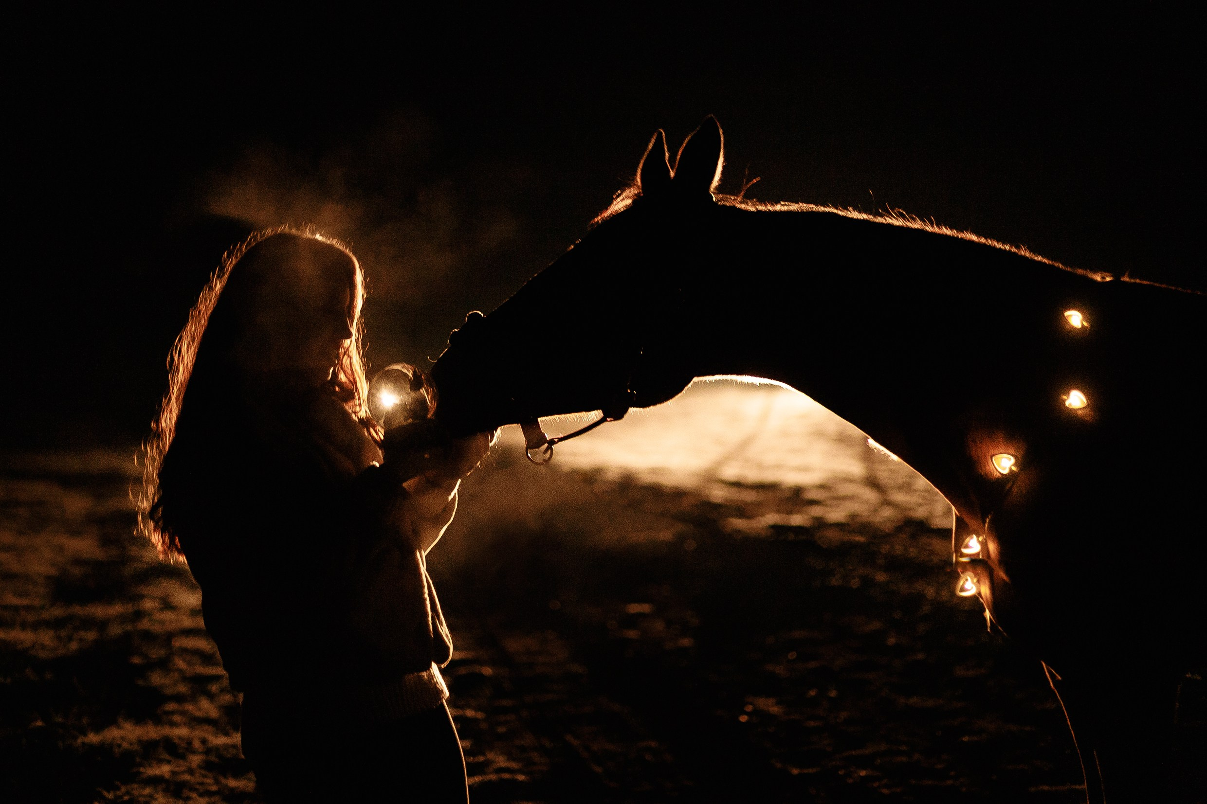 Aibike | winter. Kaja | fotograf psów we Wrocławiu