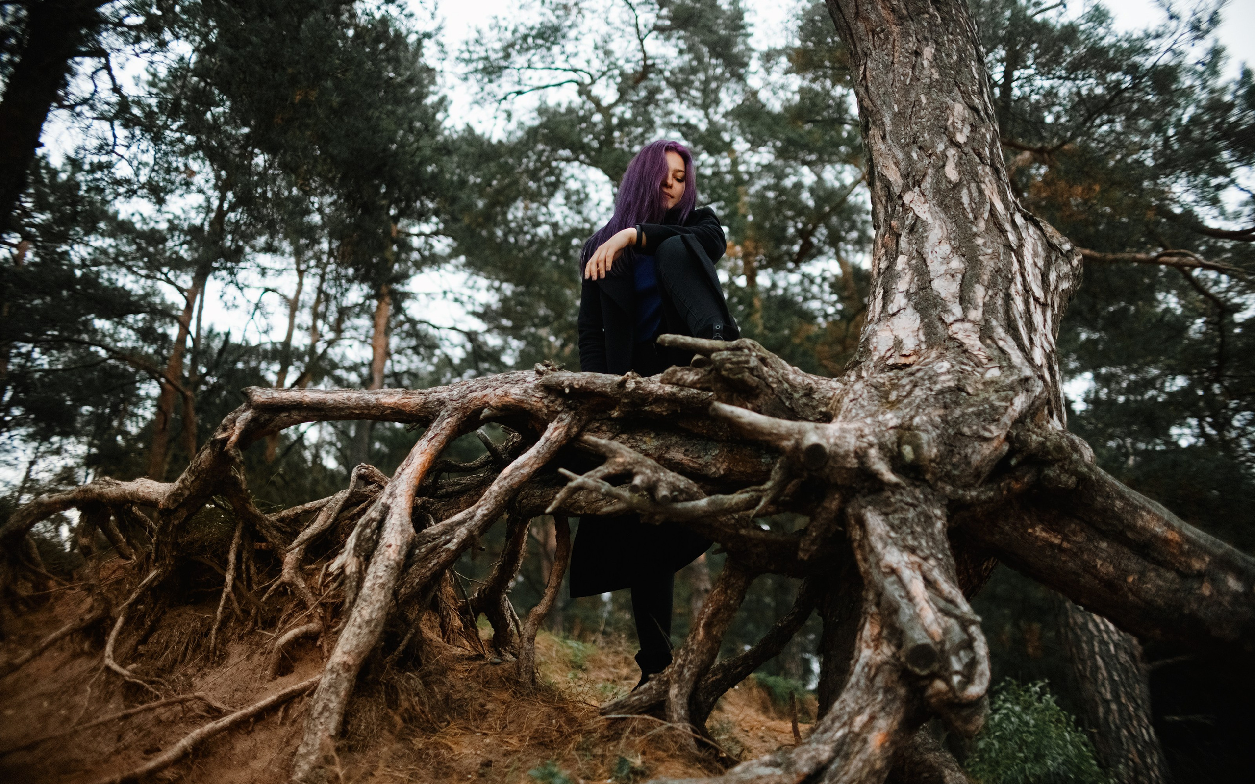 Karina. Kaja | fotograf psów we Wrocławiu