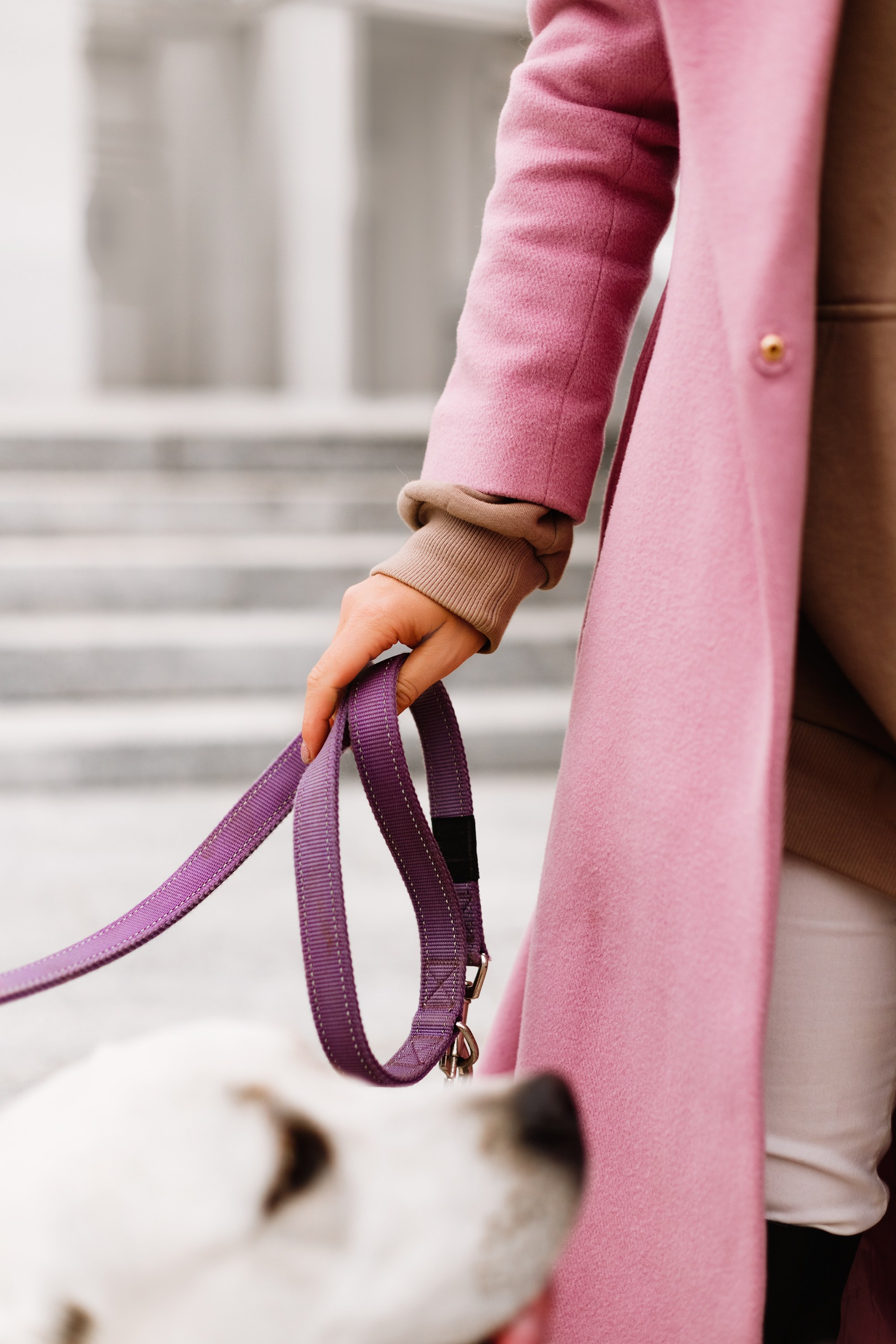 Tatiana & Tessa. Kaja | fotograf we Wrocławiu | ludzie i psy