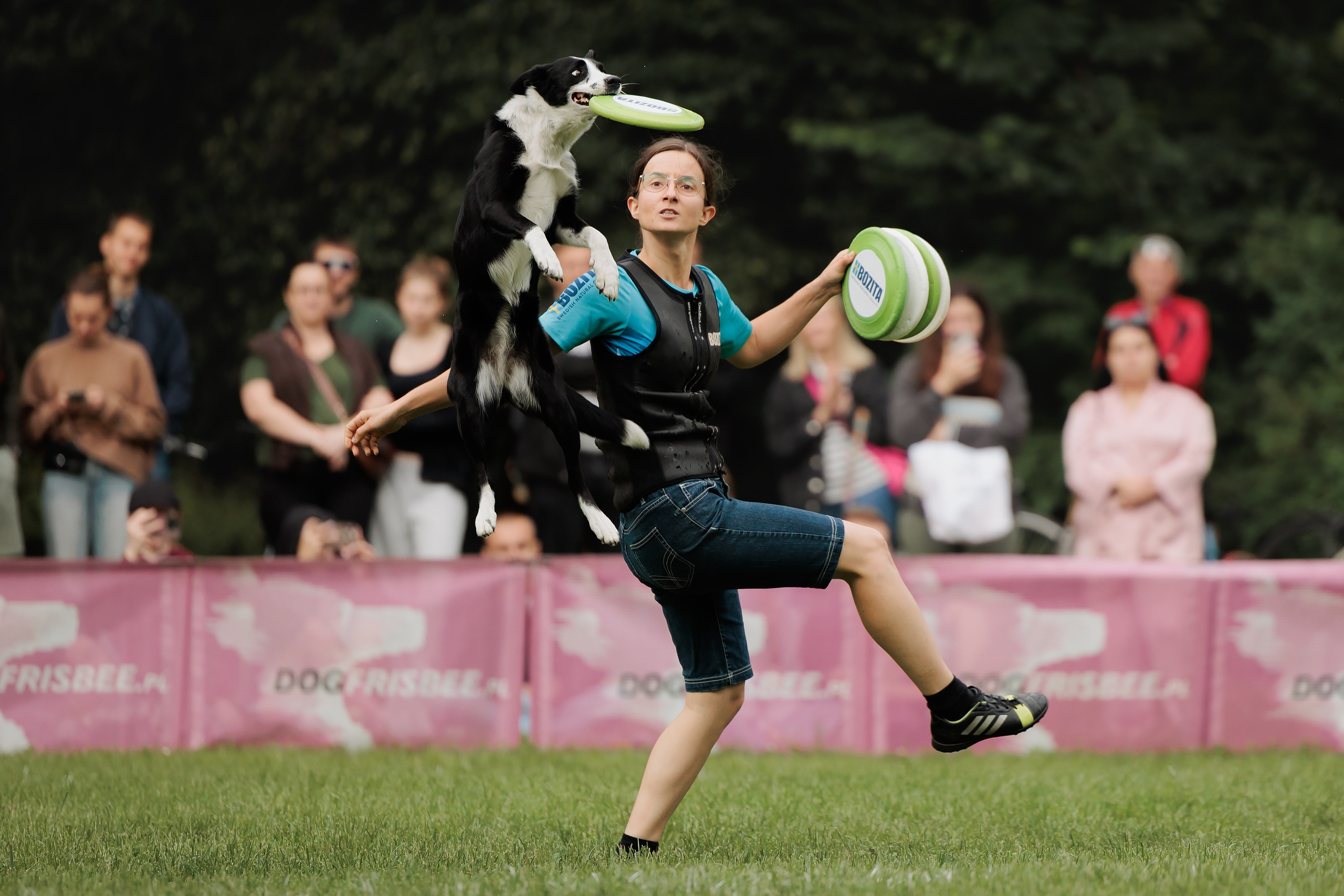 Latające psy, Wrocław'25. Kaja | fotograf psów we Wrocławiu