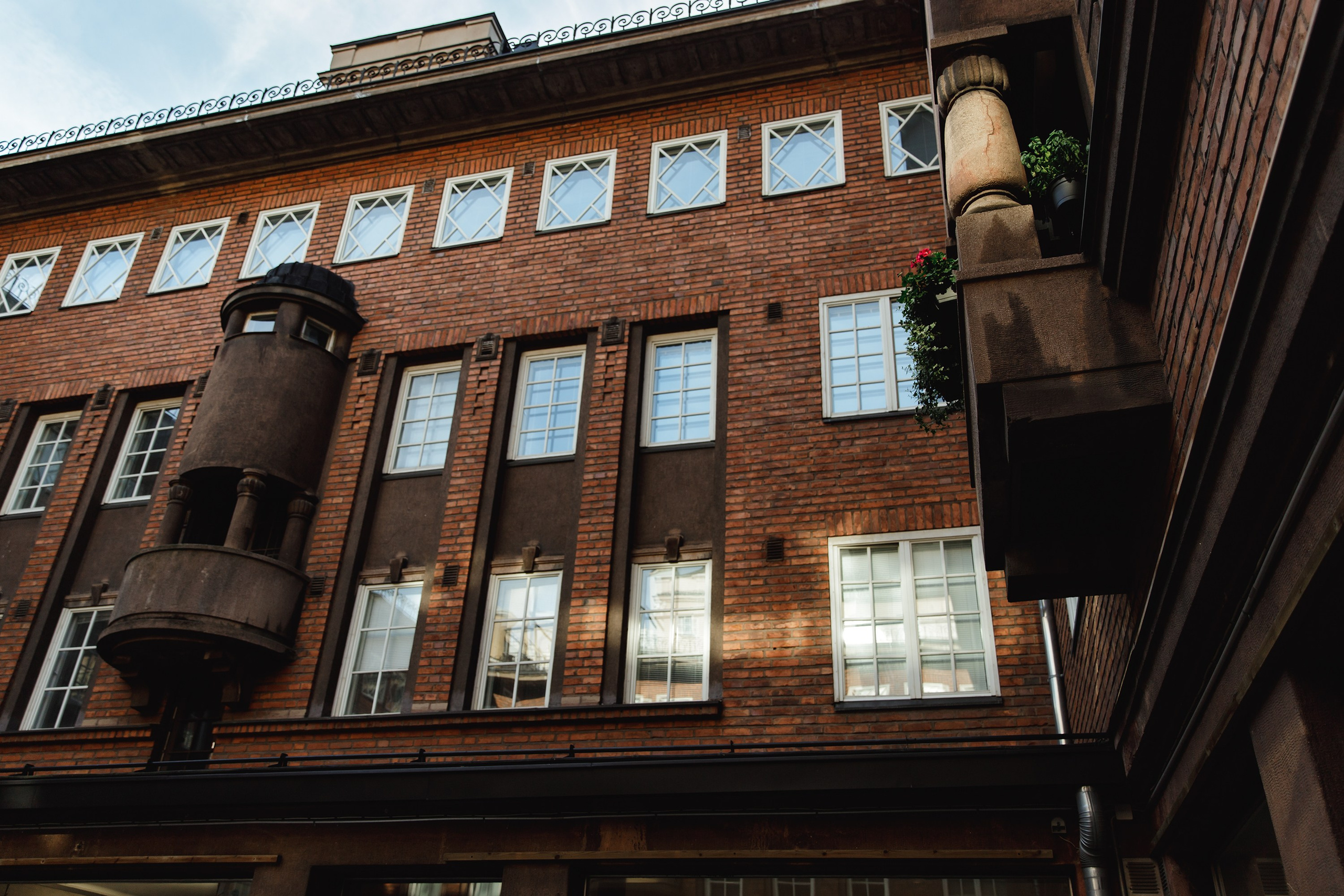 Helsinki. Kaja | fotograf psów we Wrocławiu