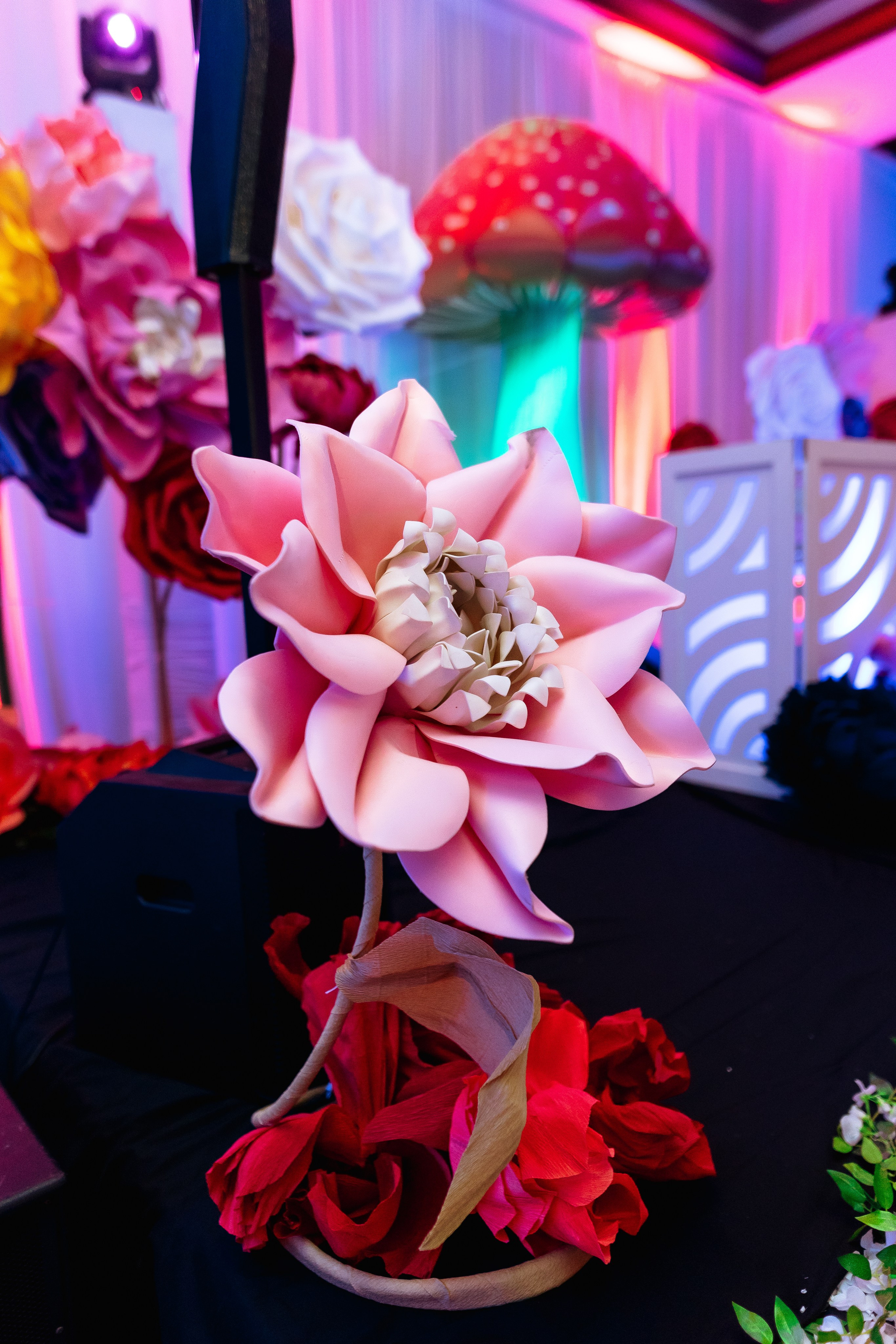 Event. Alya Leto Photographer