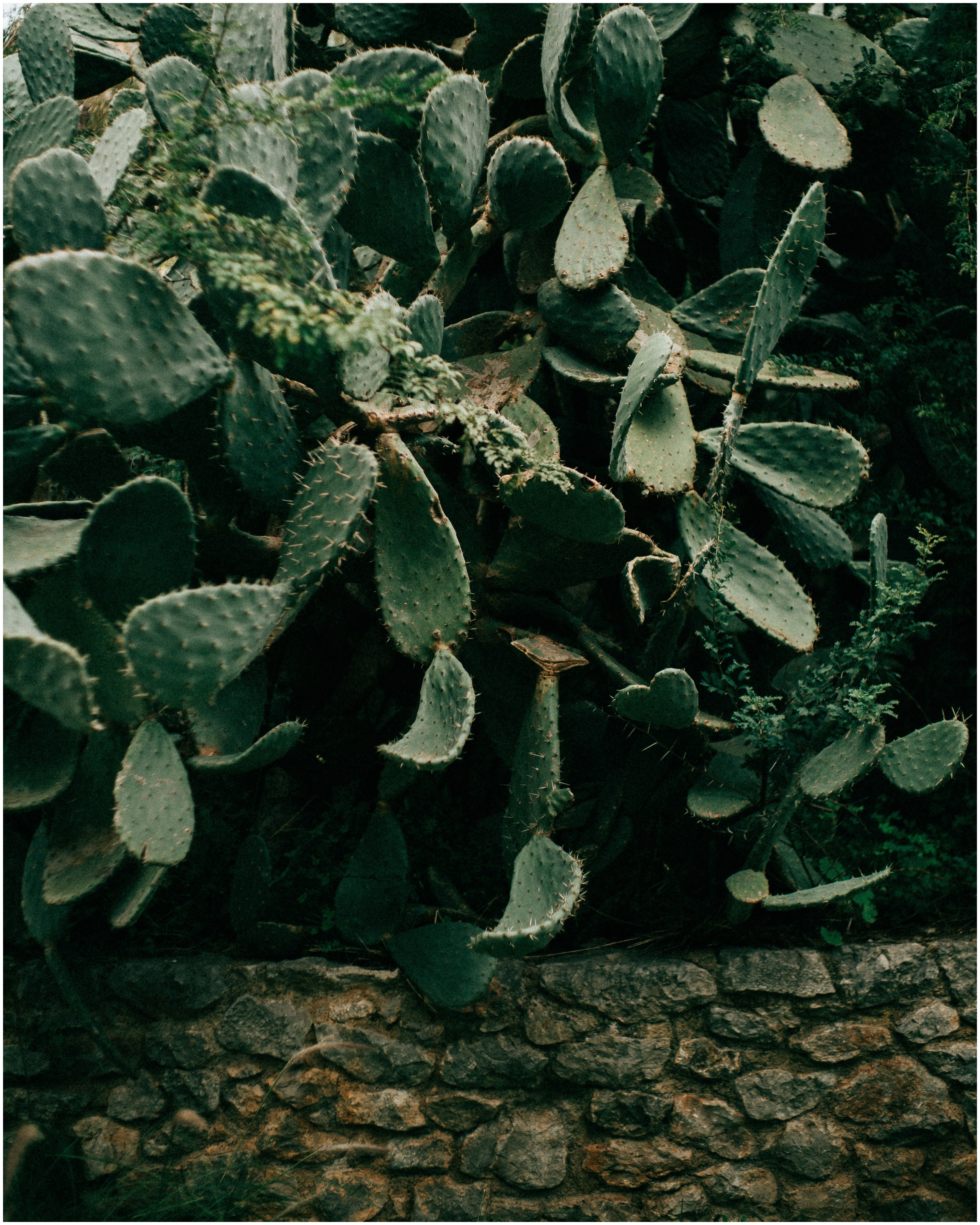 PALERMO. Photographer Inna Mendelson