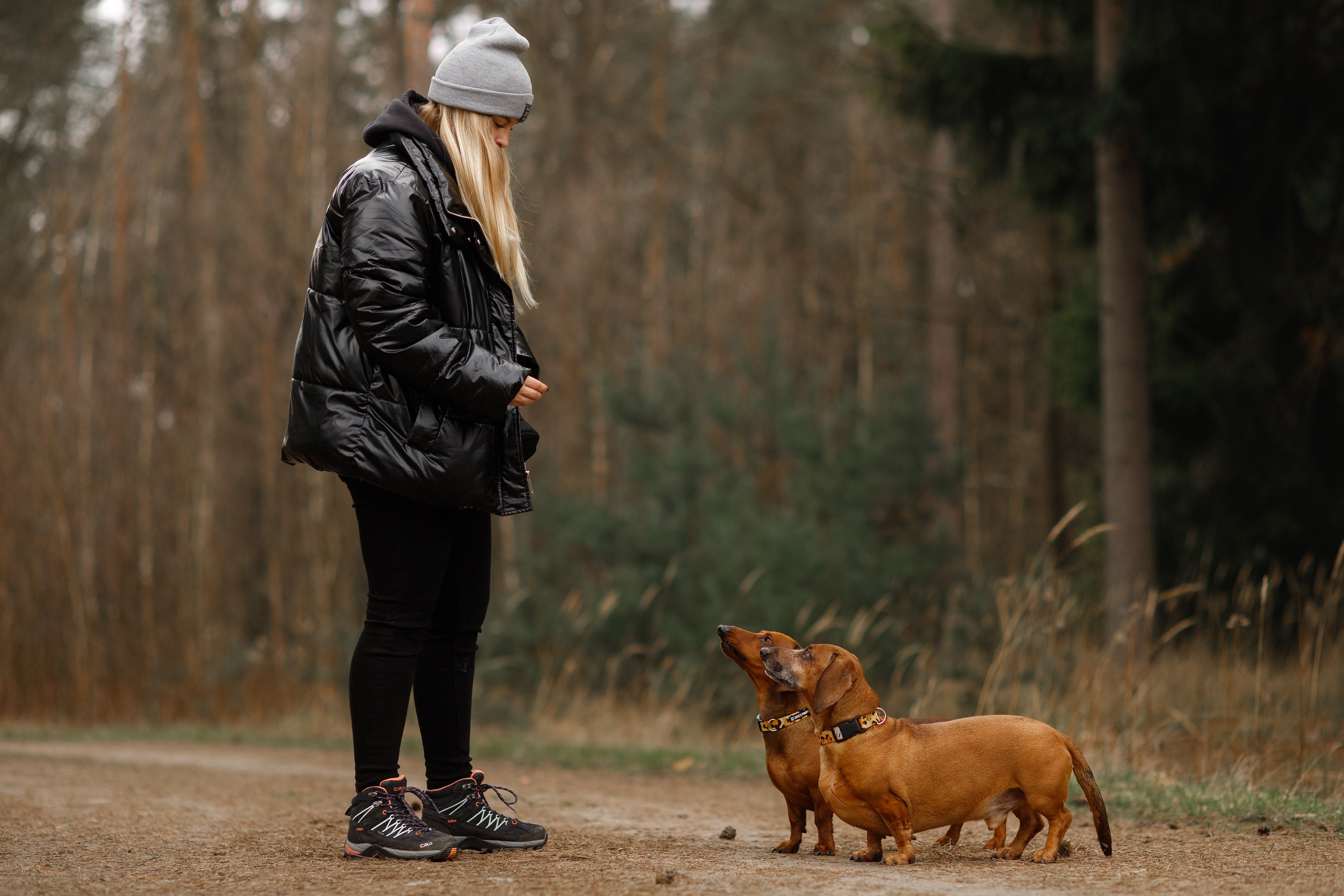Ania, Franek & Vincent. Kaja | fotograf psów we Wrocławiu