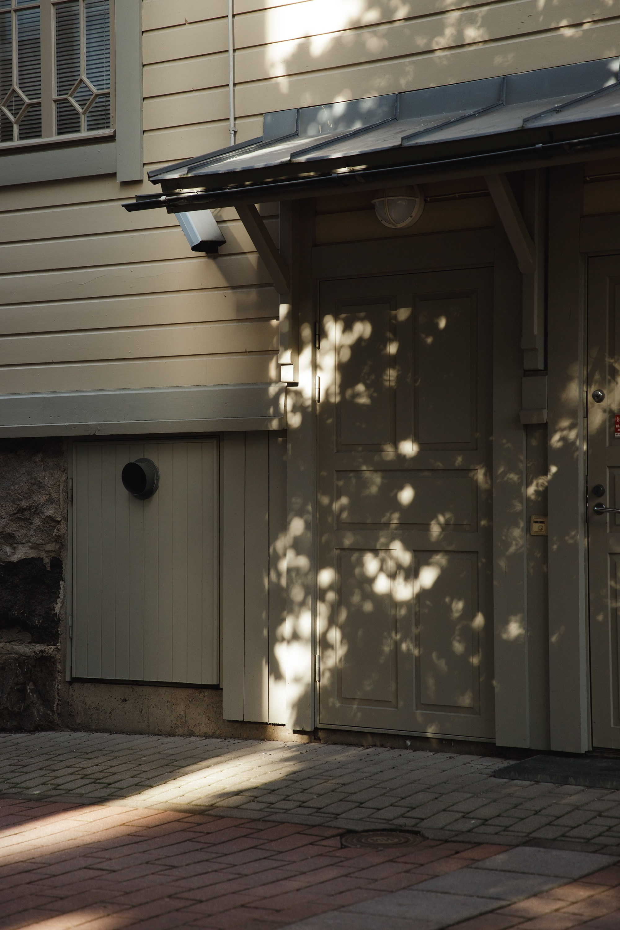 Turku. Kaja | fotograf psów we Wrocławiu