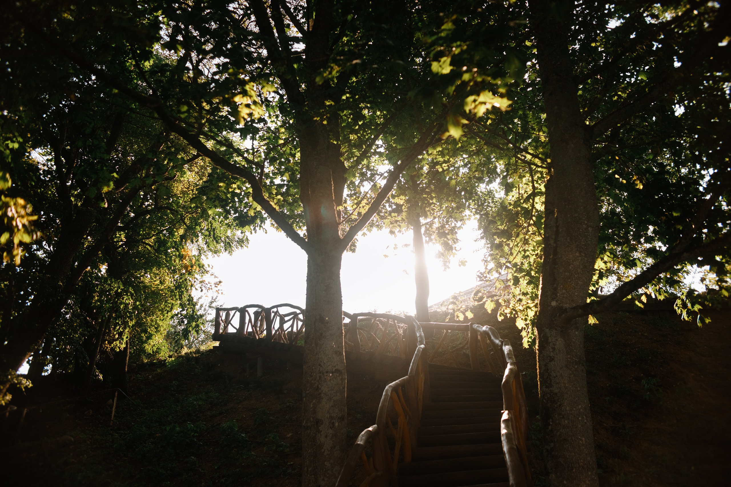 One small village in Grodno region. Kaja | fotograf we Wrocławiu | ludzie i psy