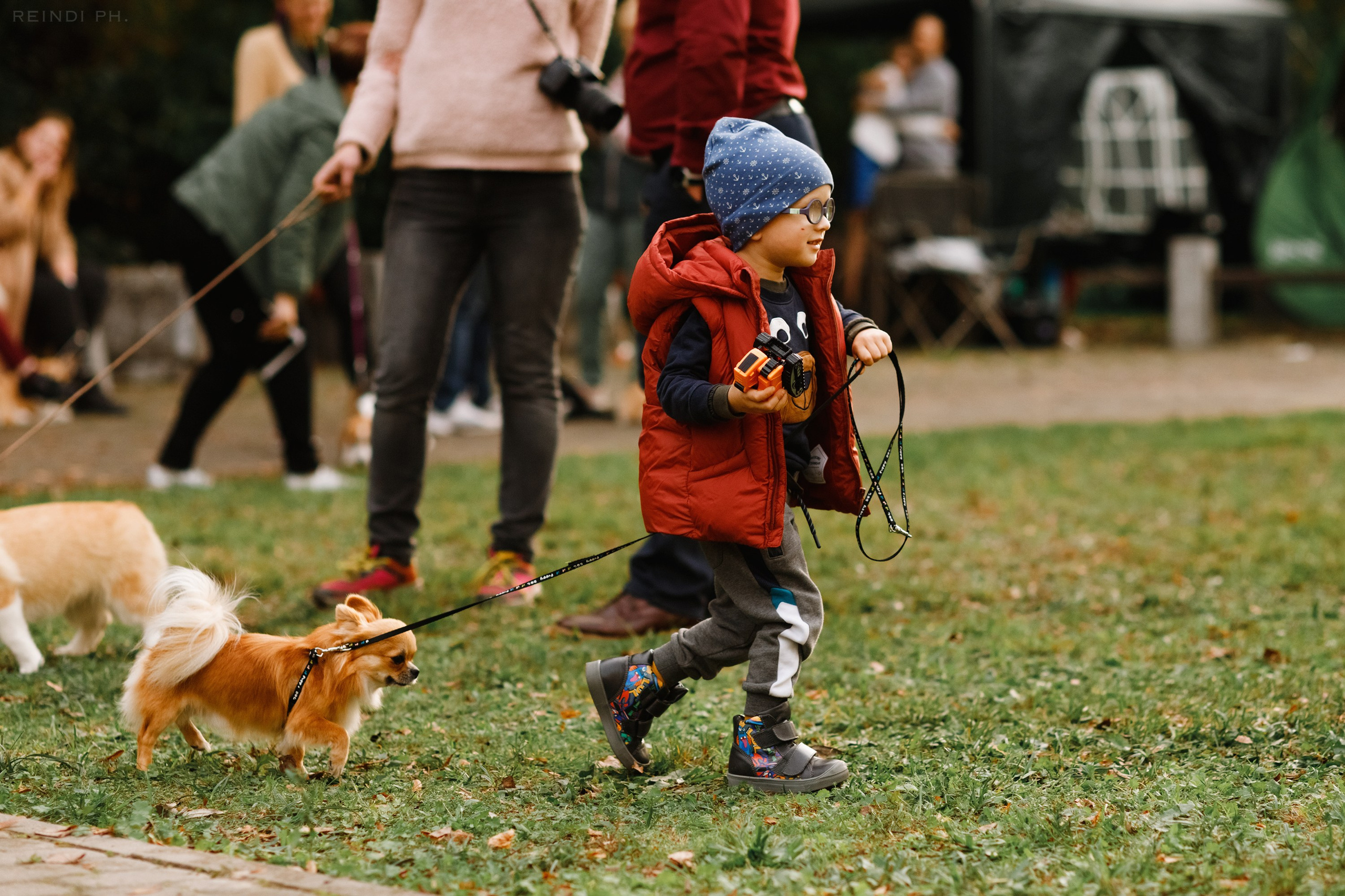 «Argus» dog show in Brest. Kaja | fotograf we Wrocławiu | ludzie i psy
