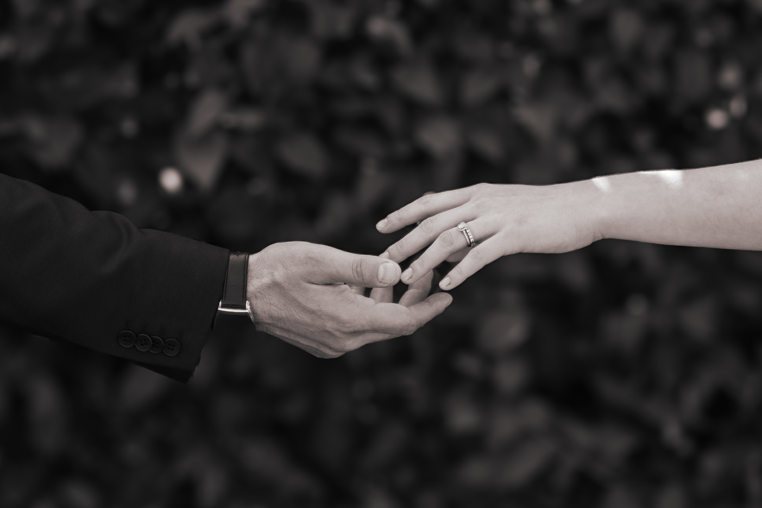 Wedding Photography, Films and Creative Direction
