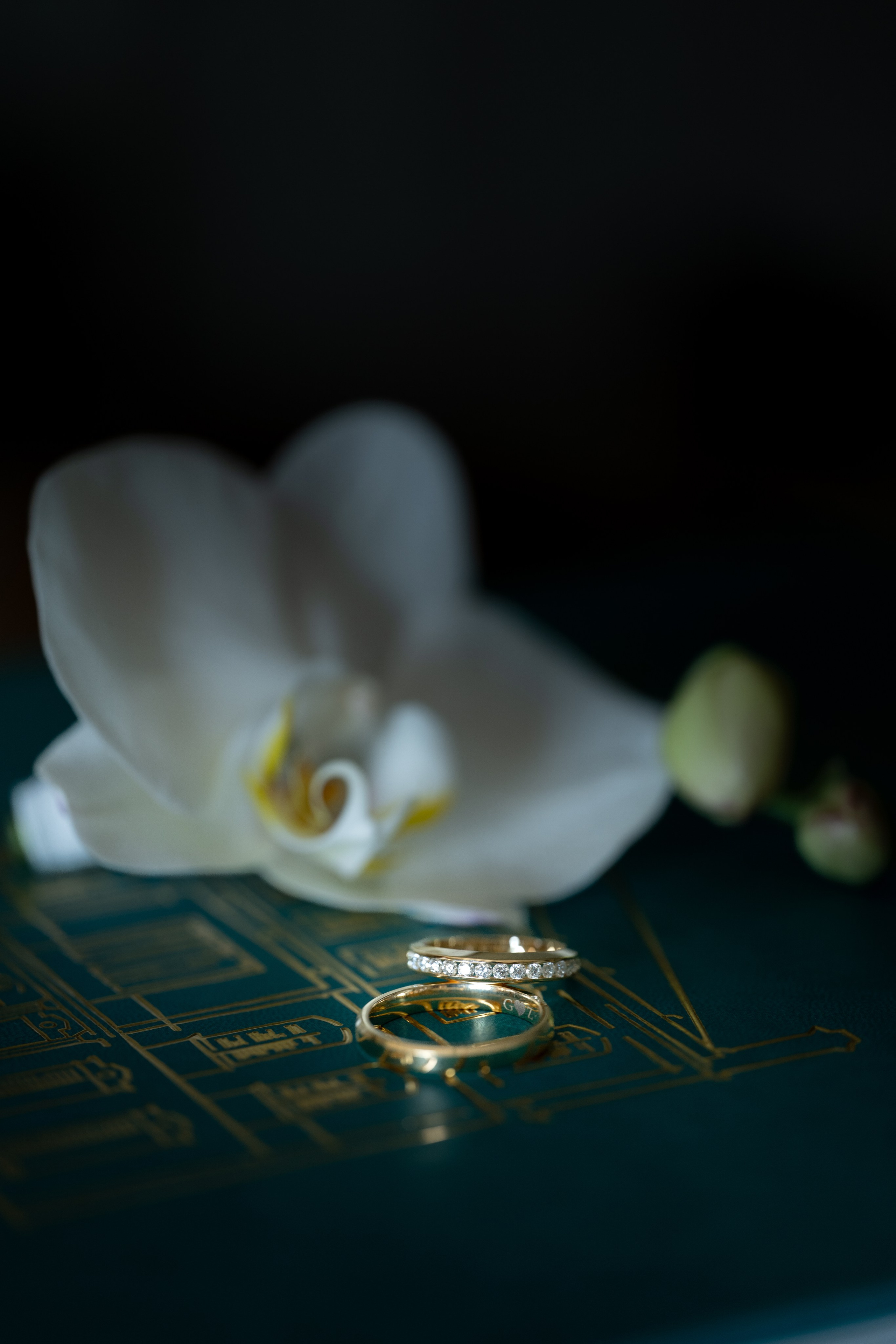 Love Across the Bosphorus. JourneyUP Visuals