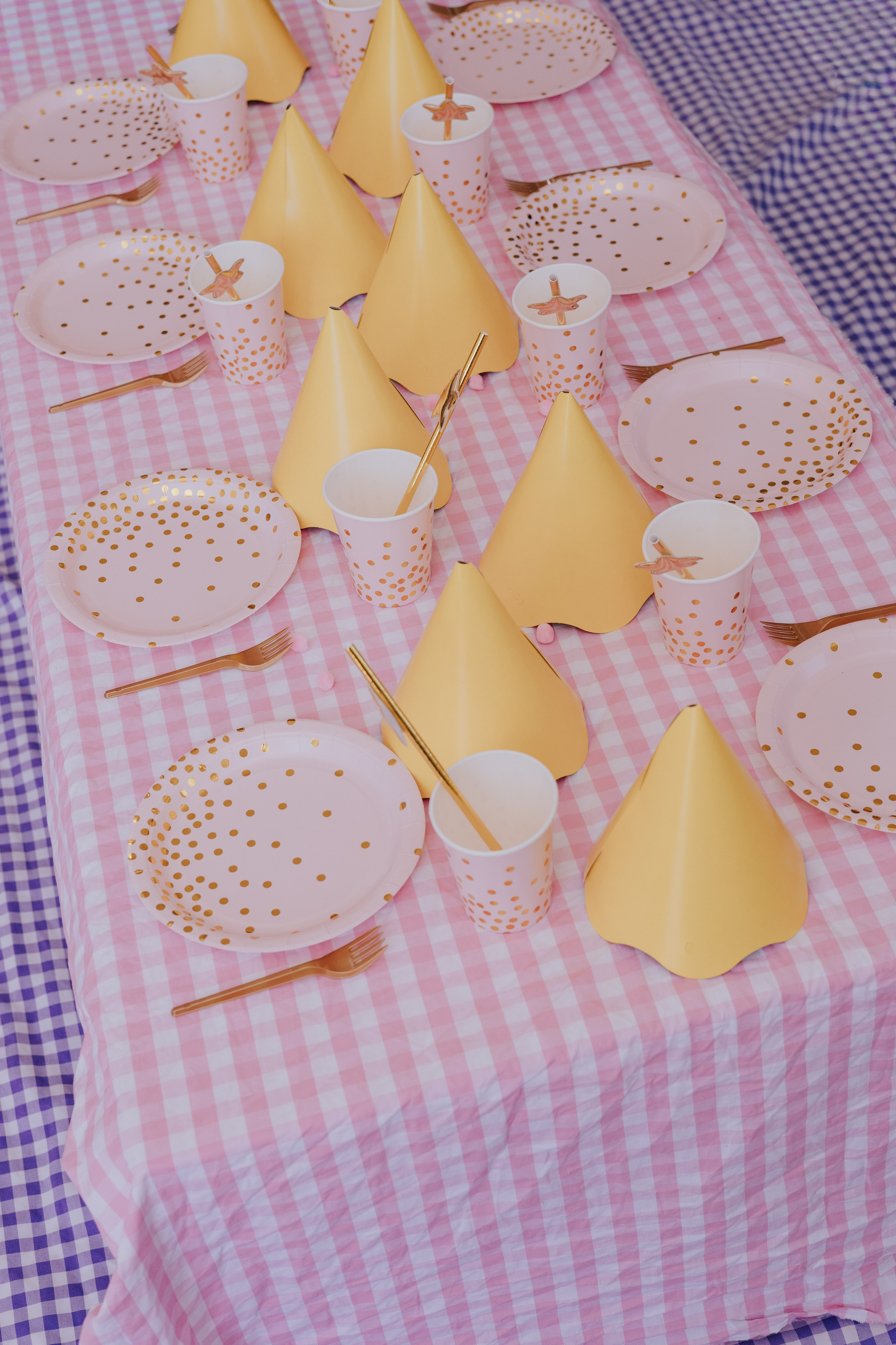 Cecília 2 anos. Fotografia de família e parto