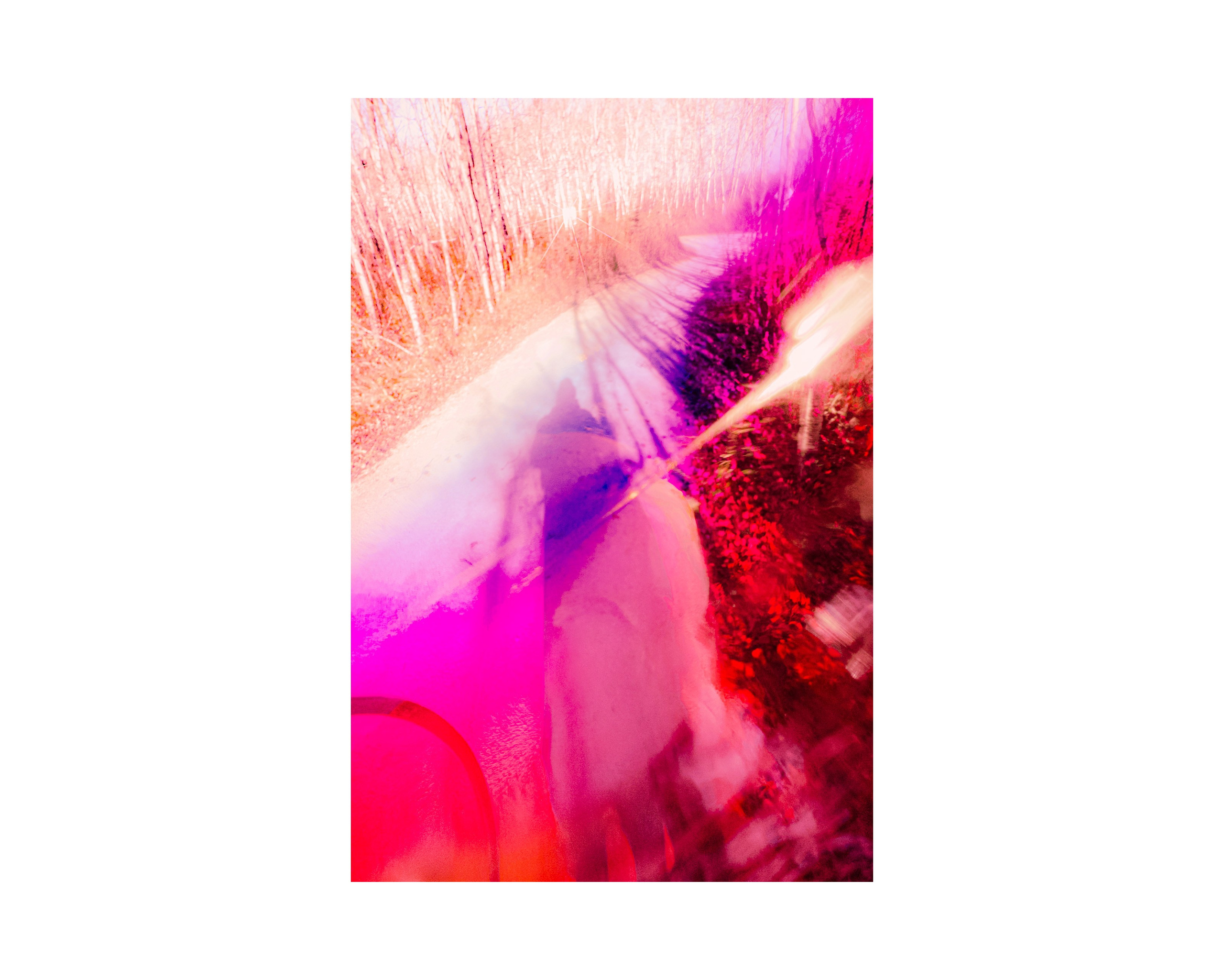 Nature from Exaggerated Worlds. Ekaterina Tsurkina-Appina Photography Canada