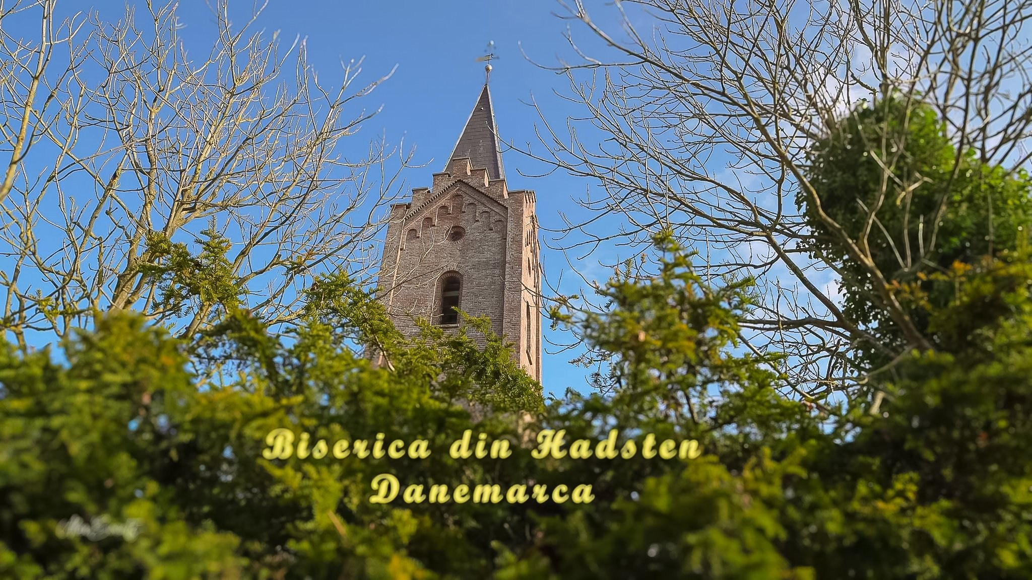 Vasile si Alina - Cununia religioasa Hadsted. Alex Events Photographer / Videographer in Denmark Horsens, Vejle, Odense, Aarhus. Wedding, Baptism, Photo Studio