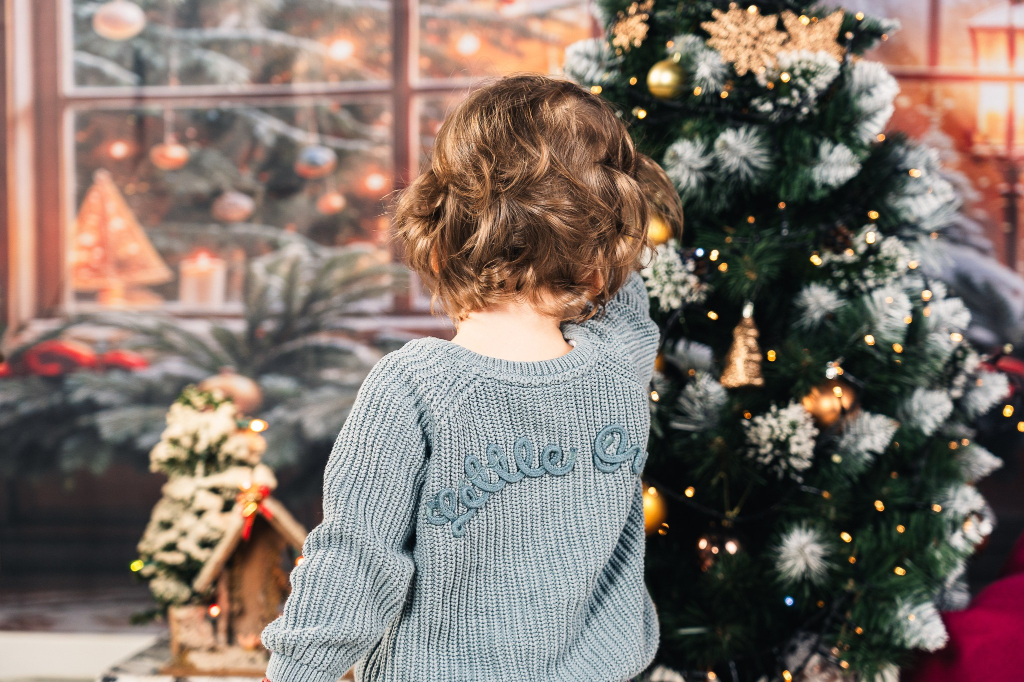 Craciun | Familia Borota. Dani Vaida