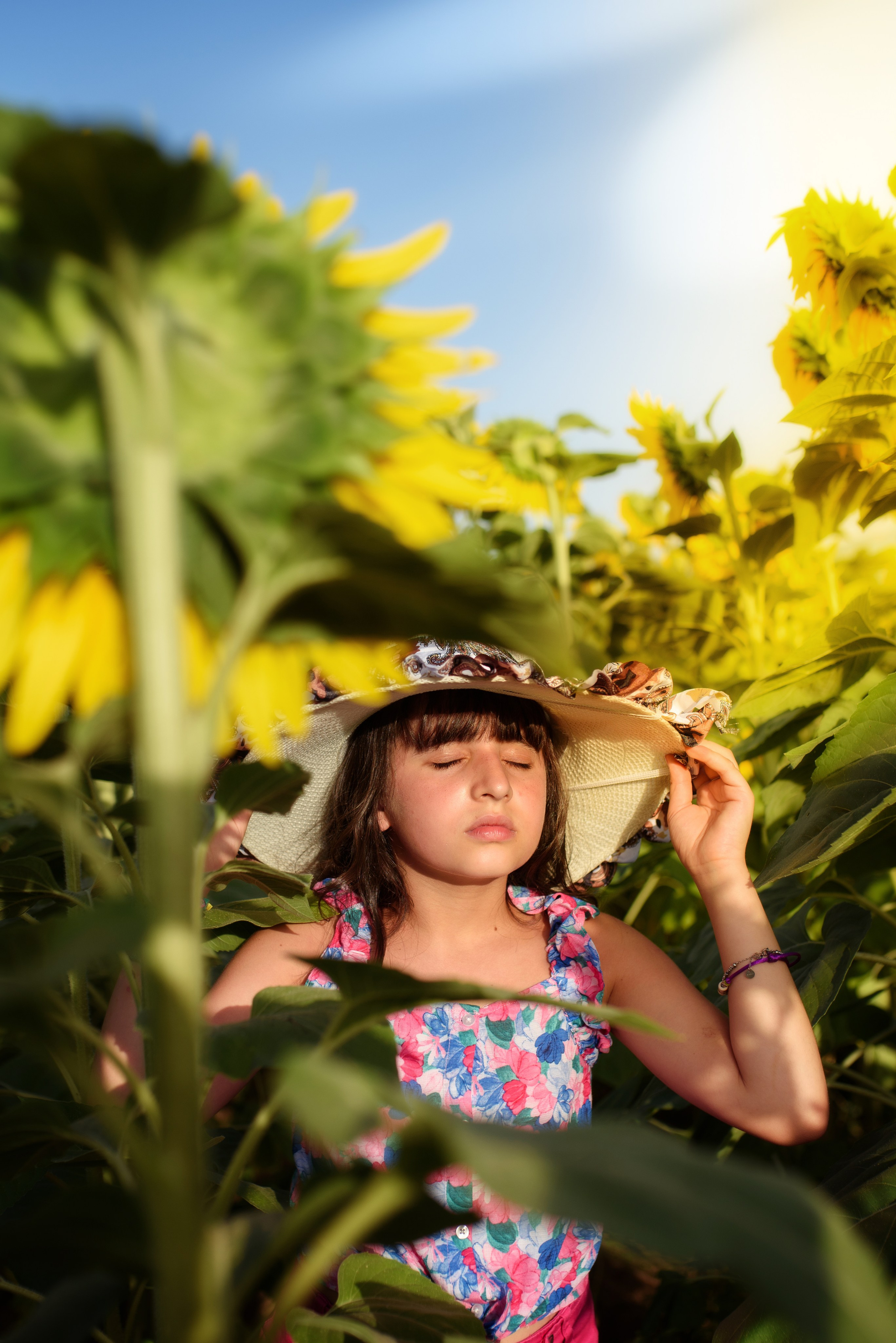 Campo di Girasole. Fotografo di famiglia