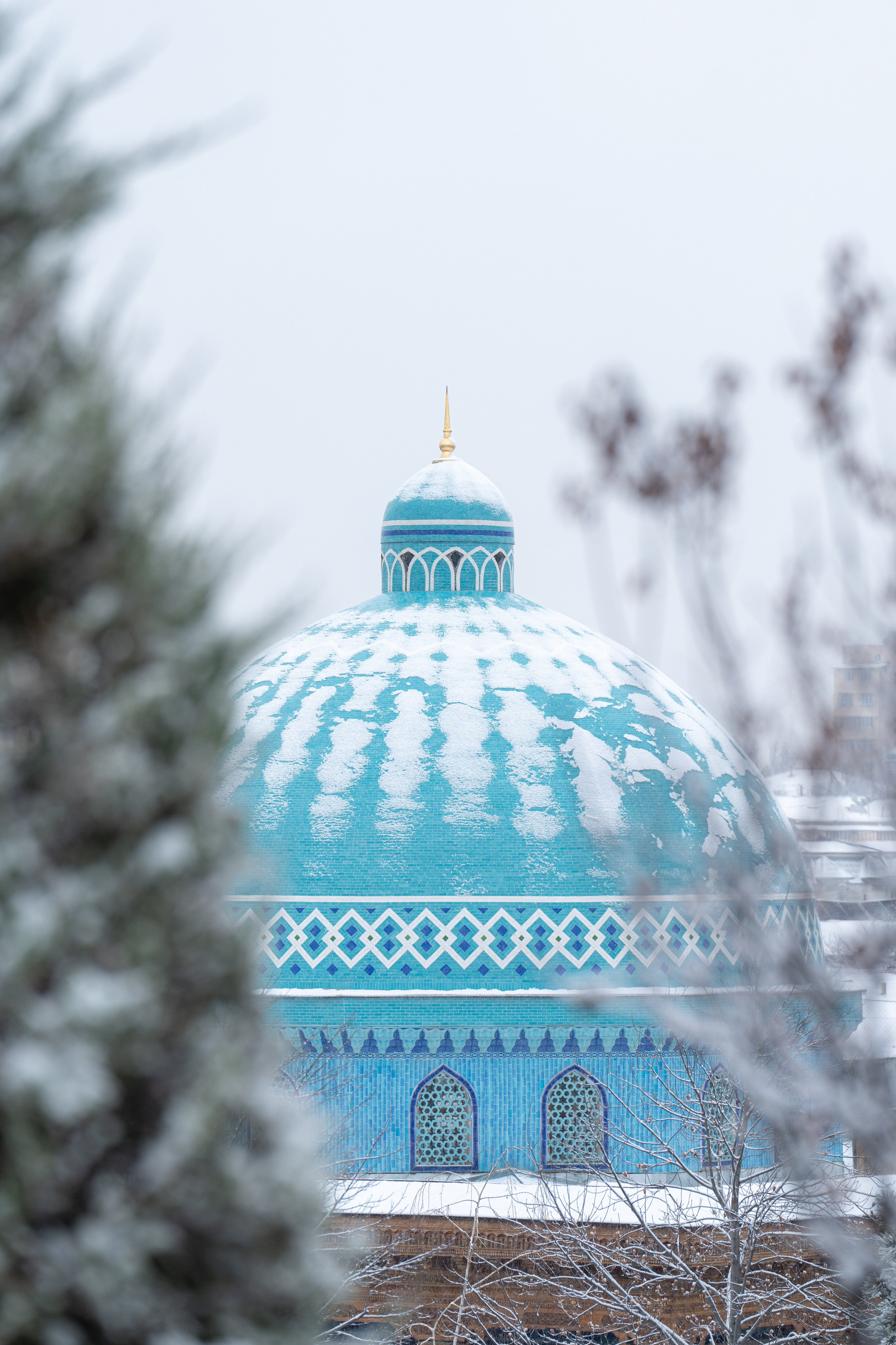 Первый снег в 2024 году. Георгий Намазов | Фотограф в Ташкенте