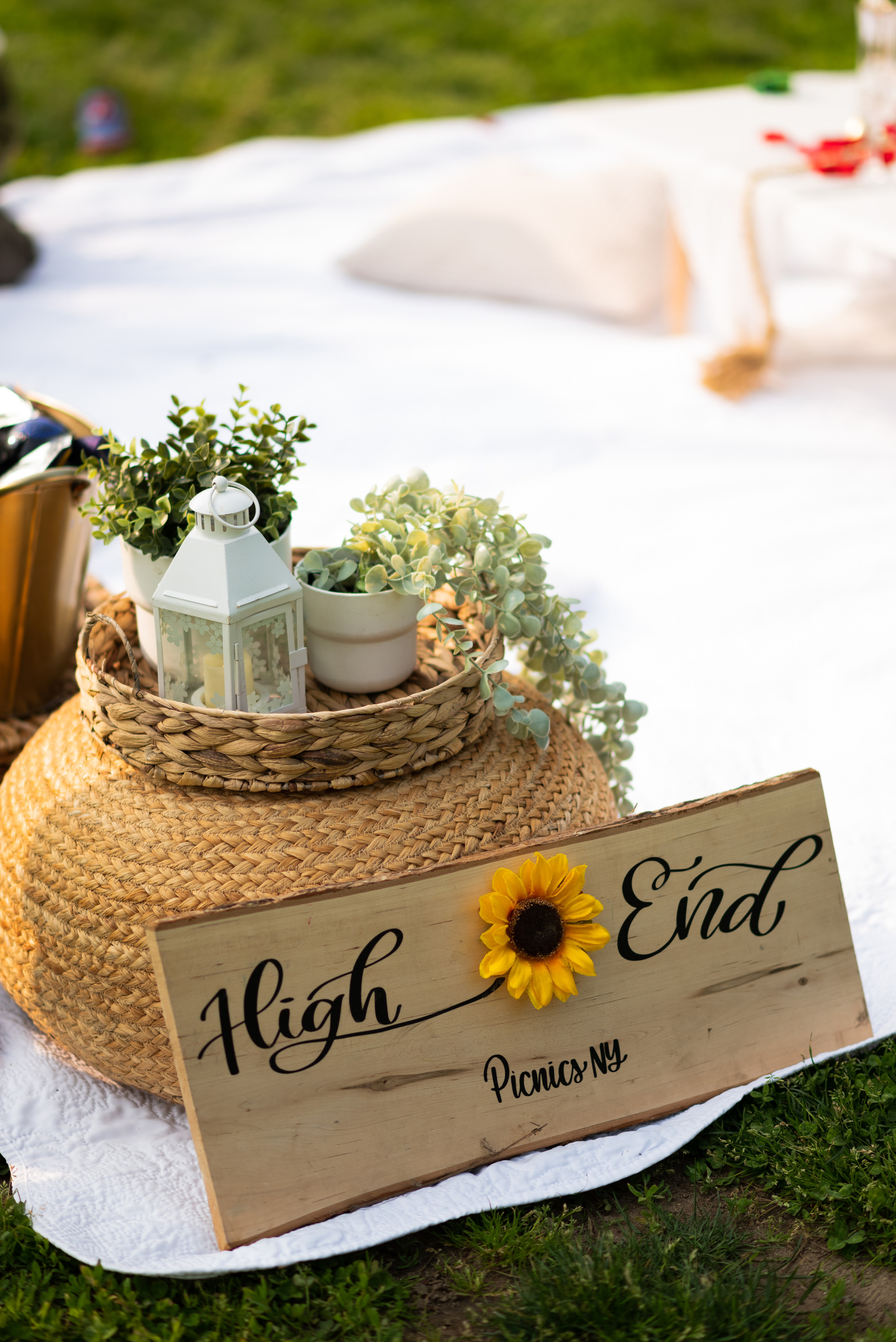 Secret Proposal. Irina Goncharenko — NYC Photographer