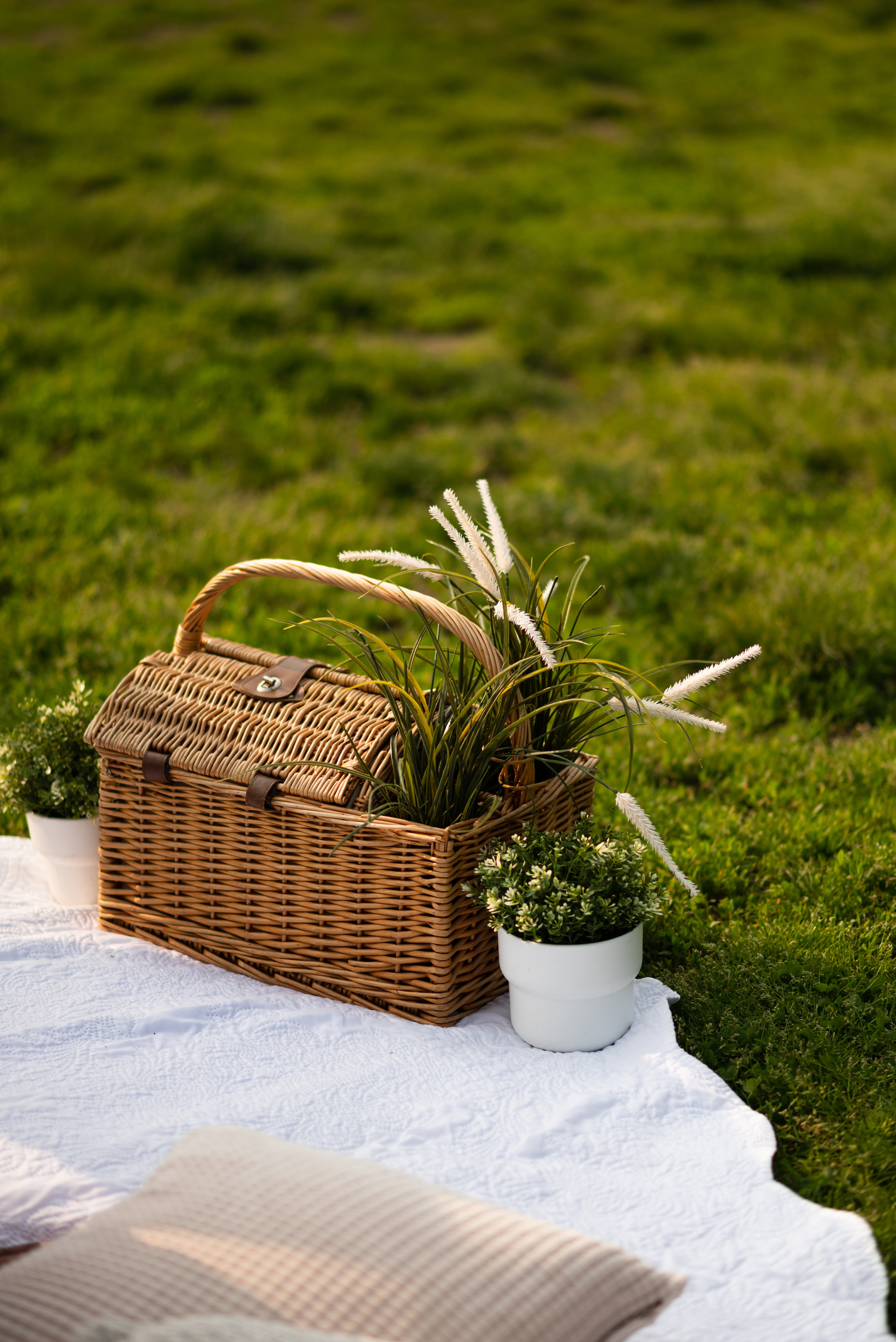 Secret Proposal. Irina Goncharenko — NYC Photographer
