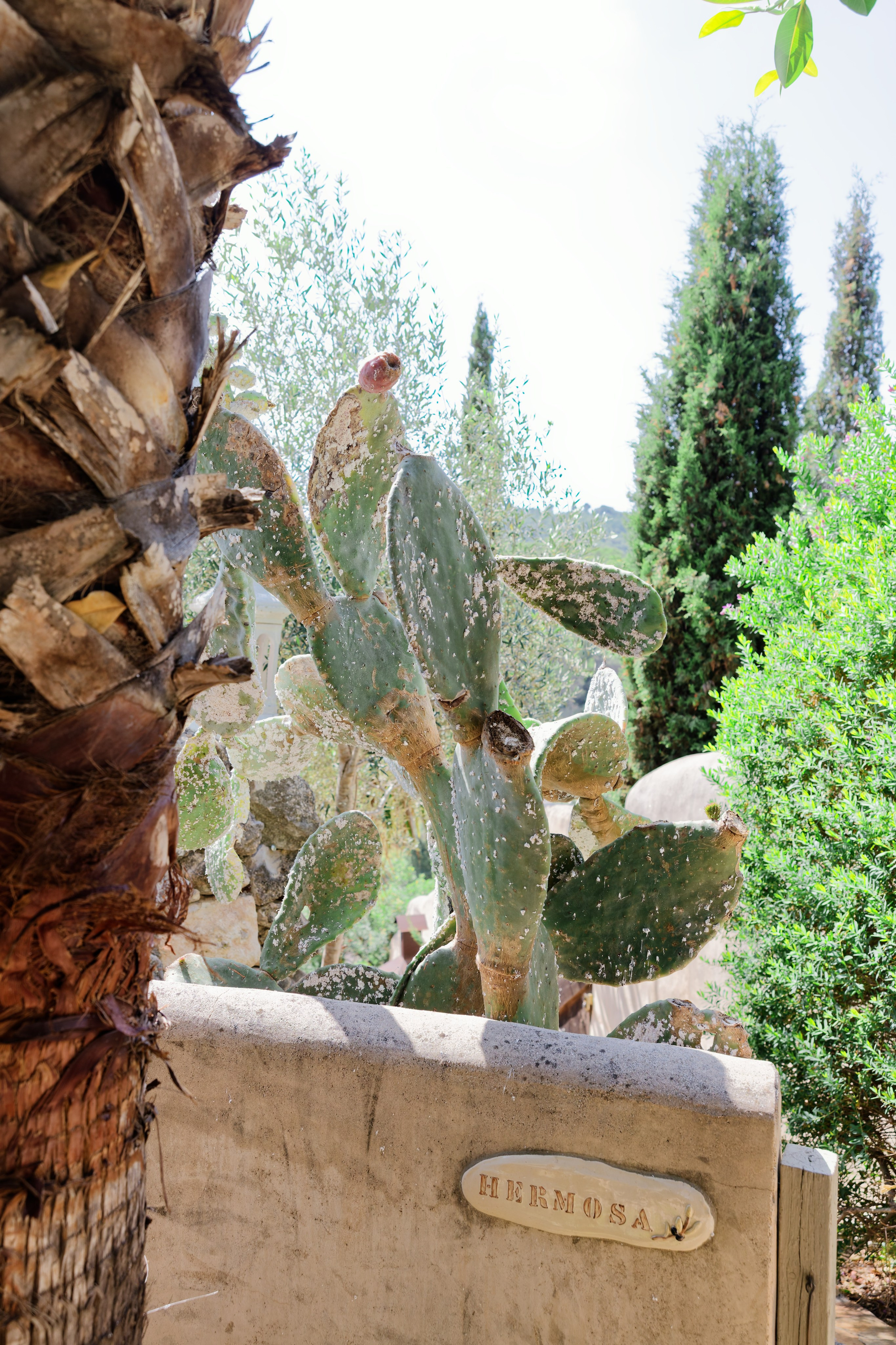 Haldi Ceremony & Mehndi Night & pre-wedding dinner, Barcelona