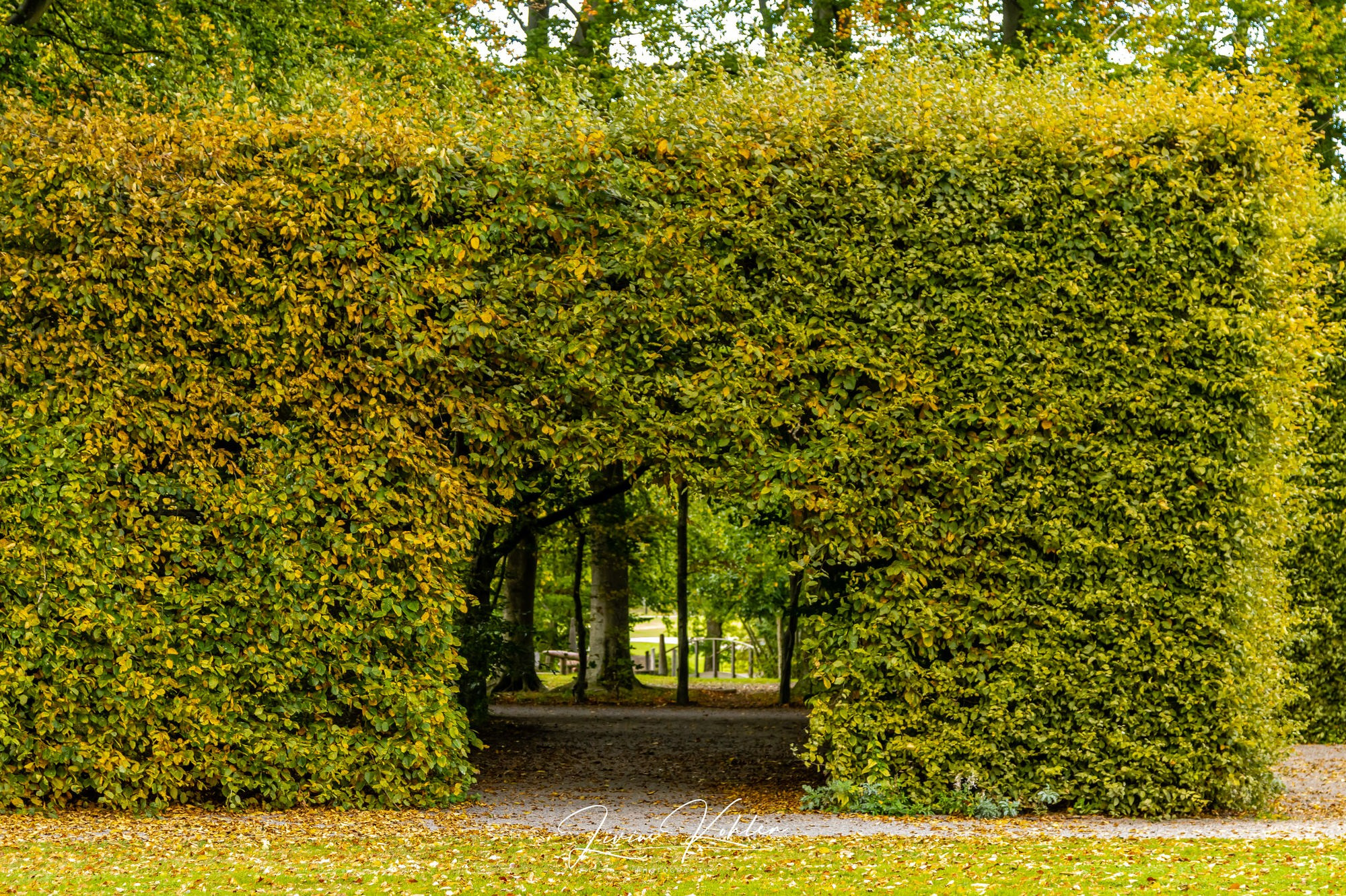 Schweden. FOTO KREATIV