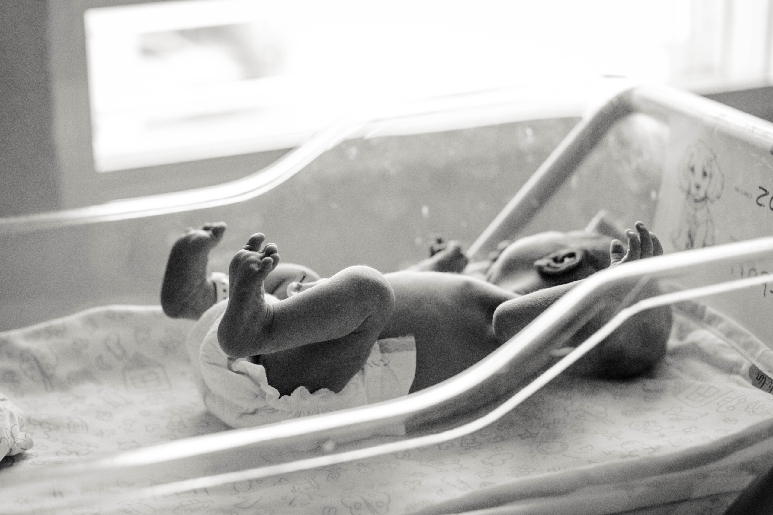 Fresh 48. Фотограф в Испании: Бенисса, Кальпе, Бенидорм, Аликанте Виктория Гунн