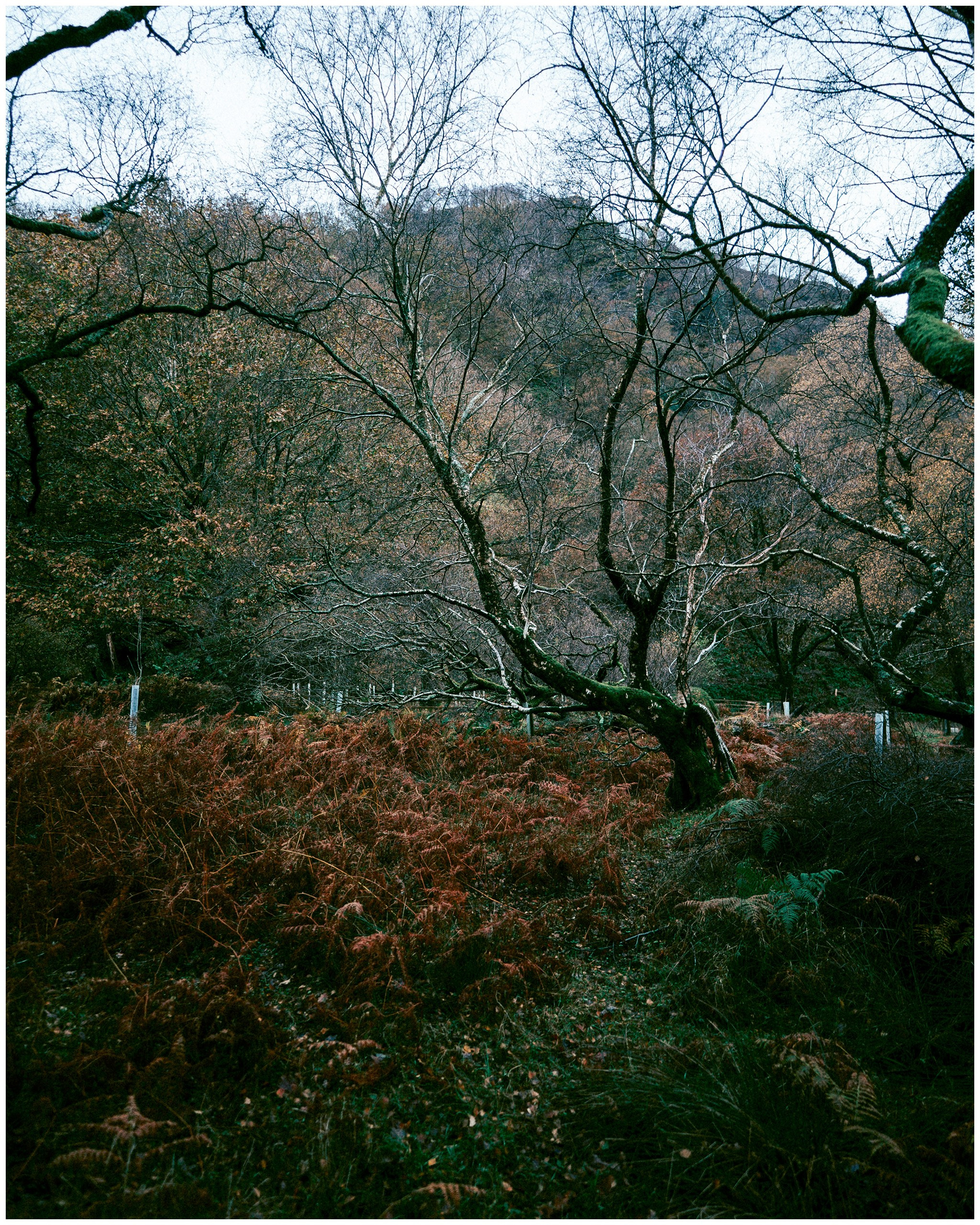 IRELAND. Inna Mendelson — Photographer