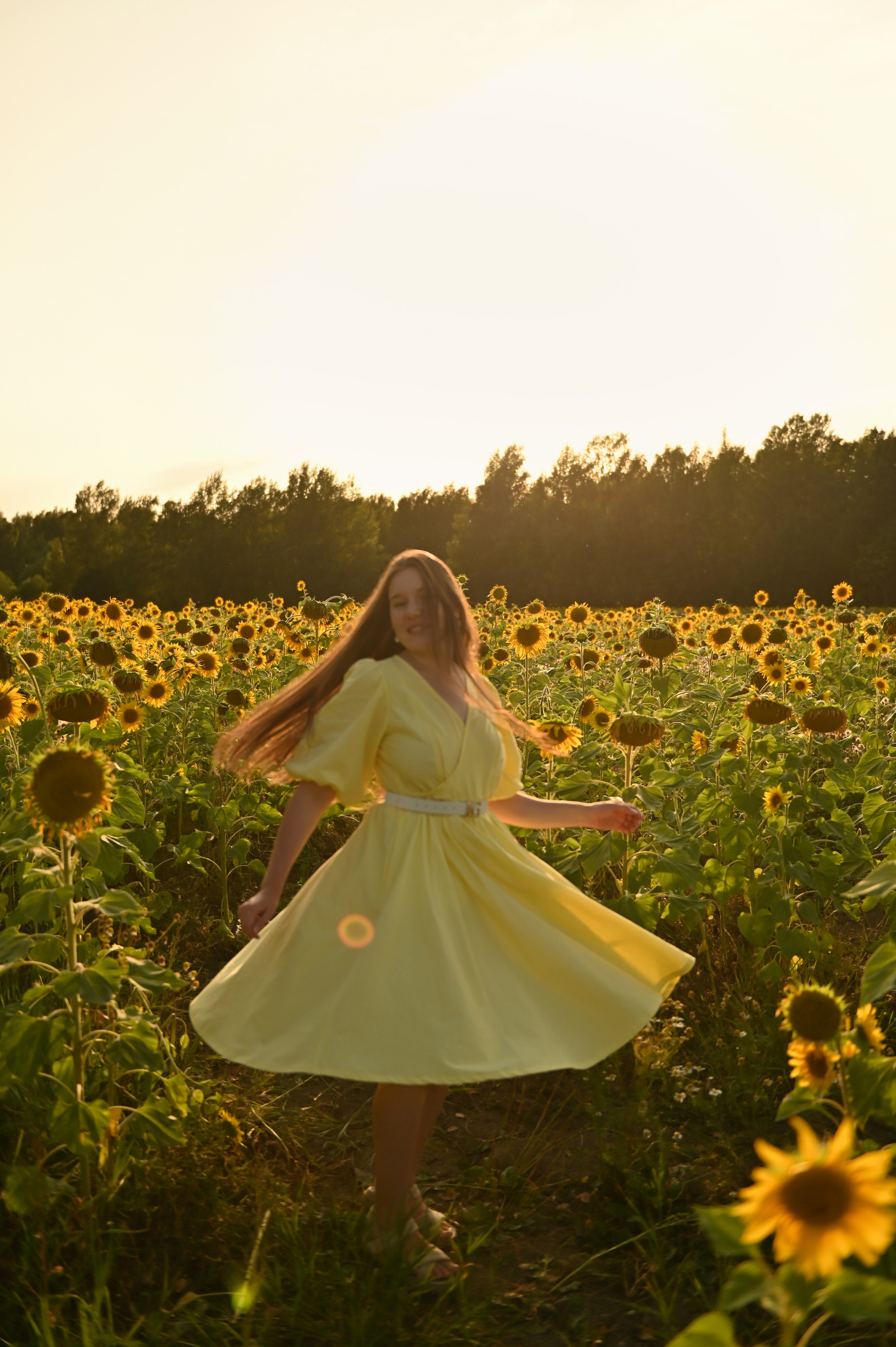 Подсолнухи. Детский и семейный фотограф в финляндии дина пулкка. контент фотограф