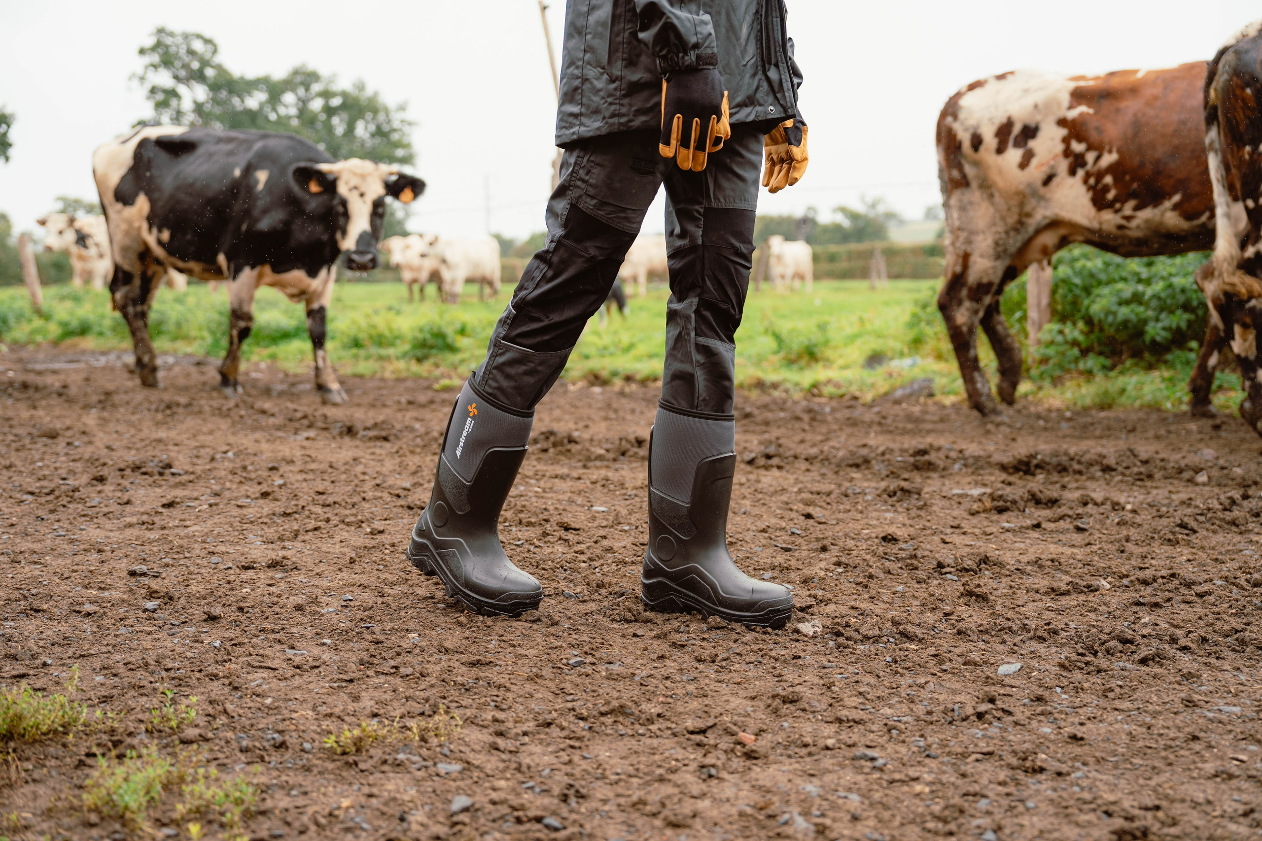 Solidur. Weeding photographer / event / portrait