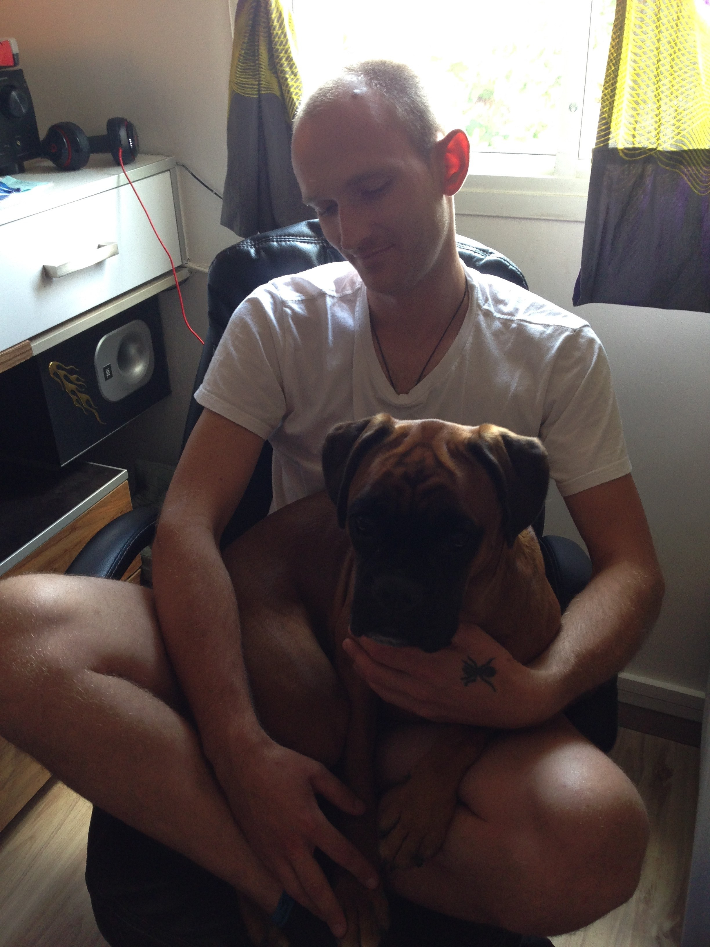 My ״Star״ Boxer Dog