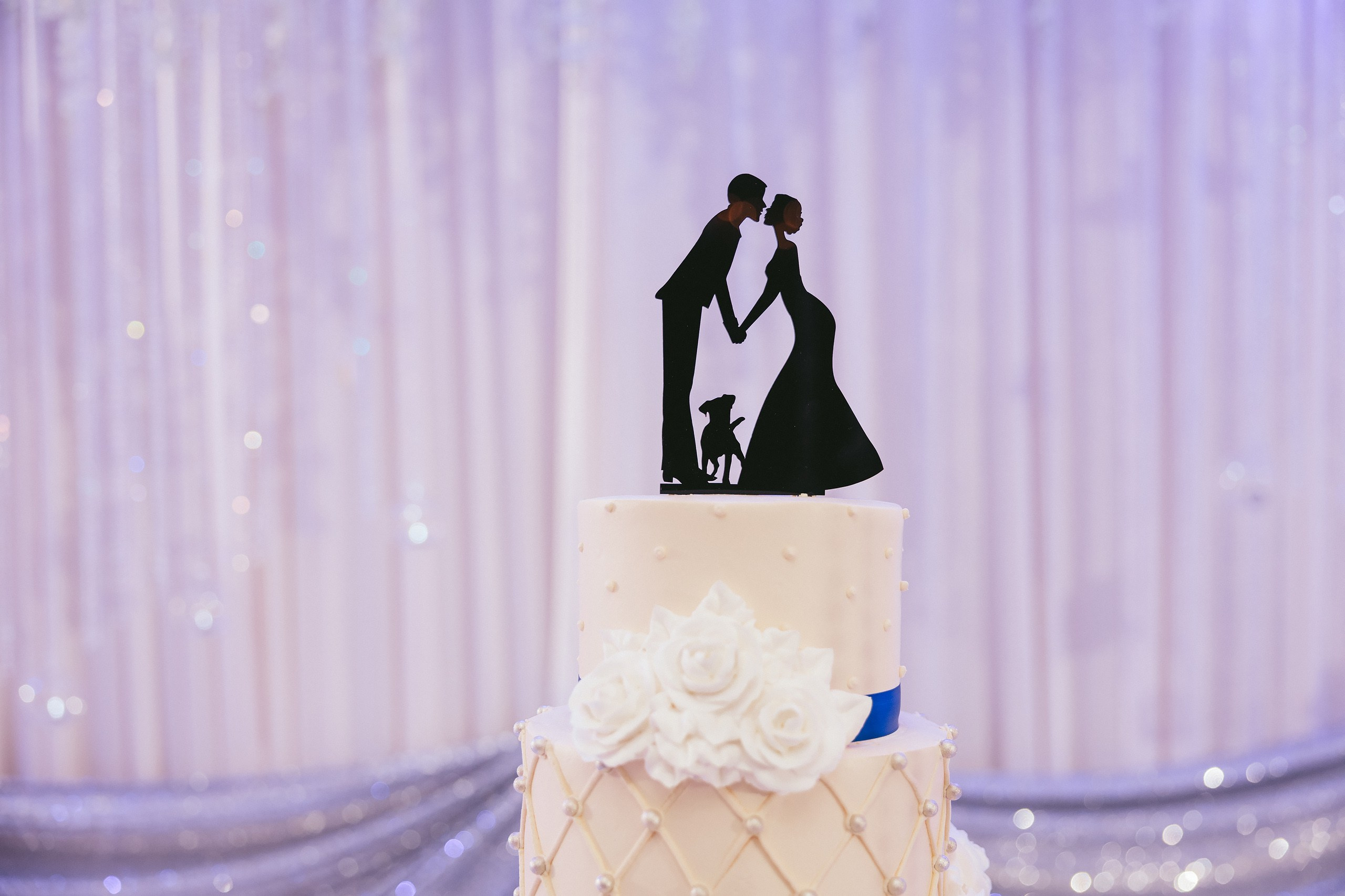 06.08.2025 Wedding. Wedding family event photographer in Chicago Nick Yushevich