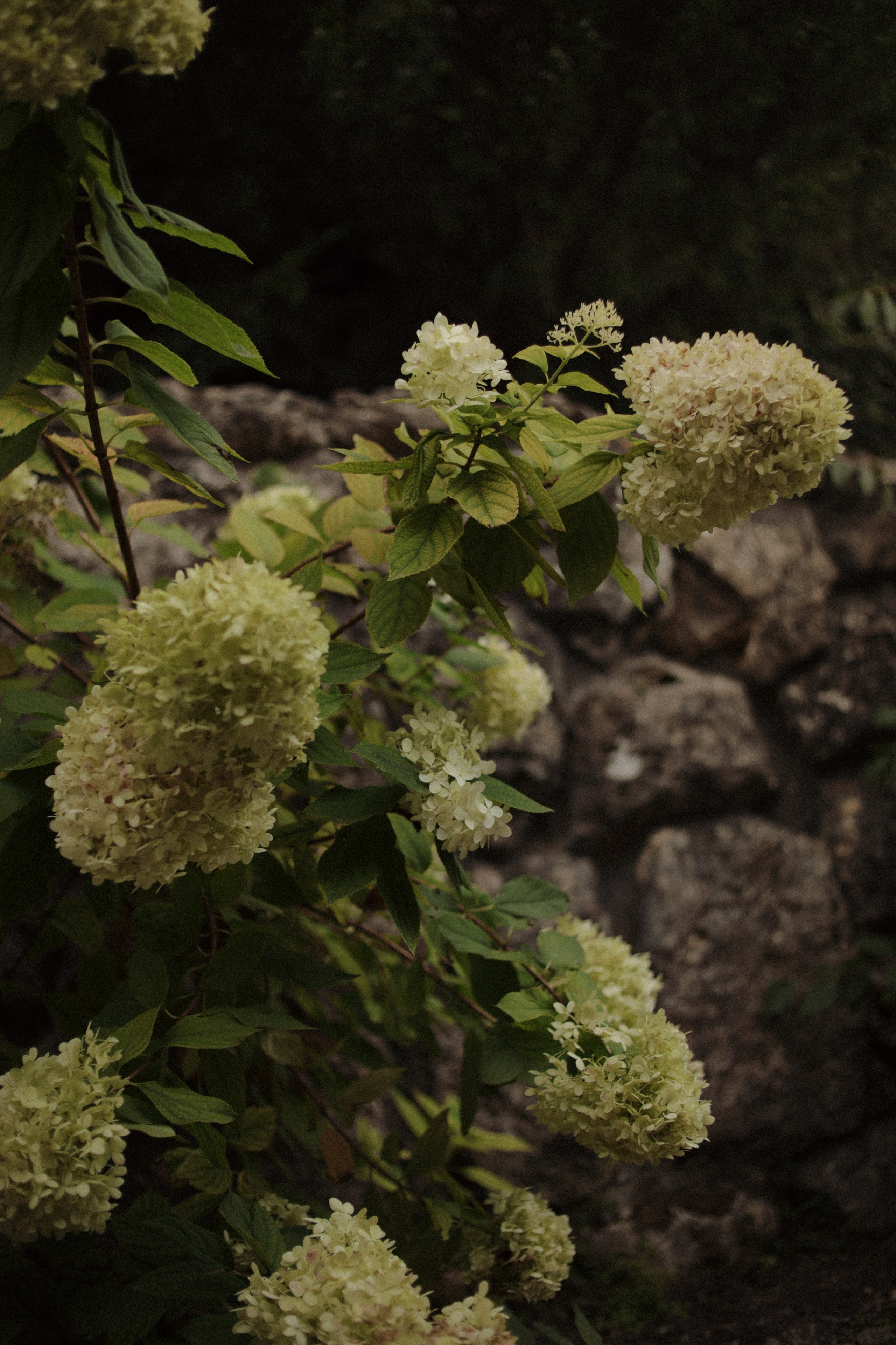 “ALWAYS REMEMBER US THIS WAY” full wedding day. Свадебный и семейный фотограф в Дубае Эльмаз Черникова