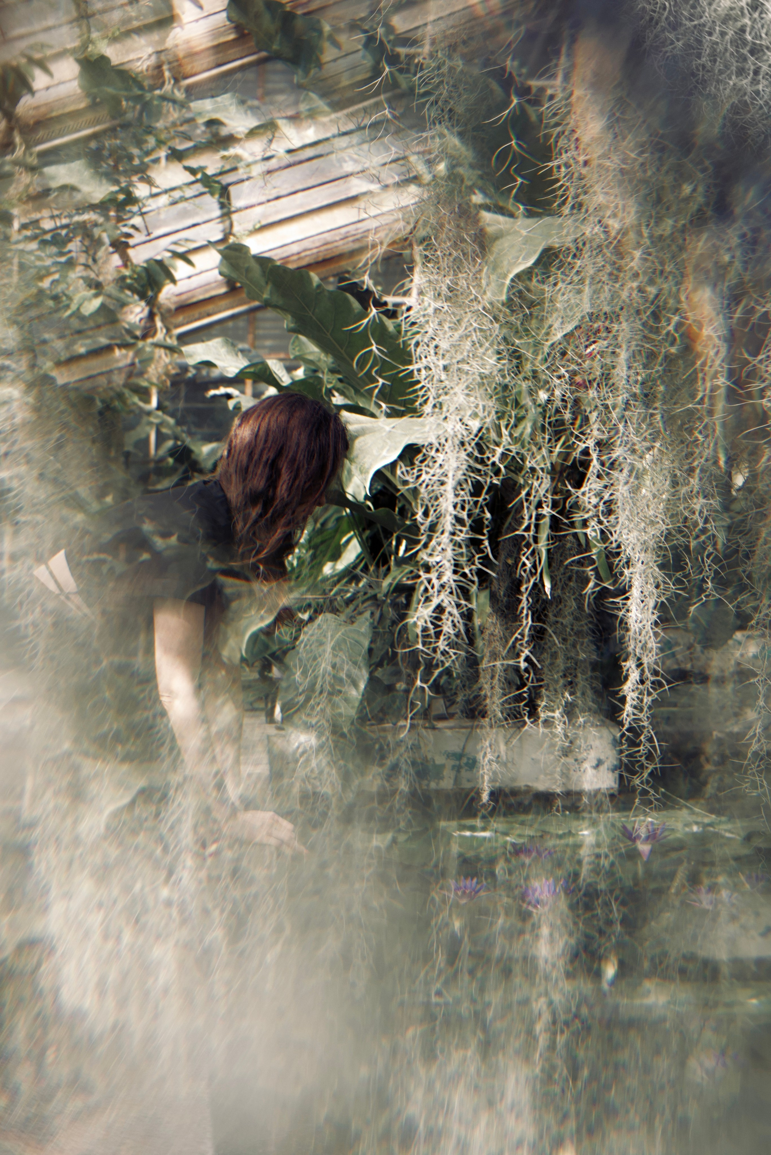 Natalya. Portrait Photographer in Bratislava and Vienna|For women, couples & meaningful life moments I Polina Bogomolova