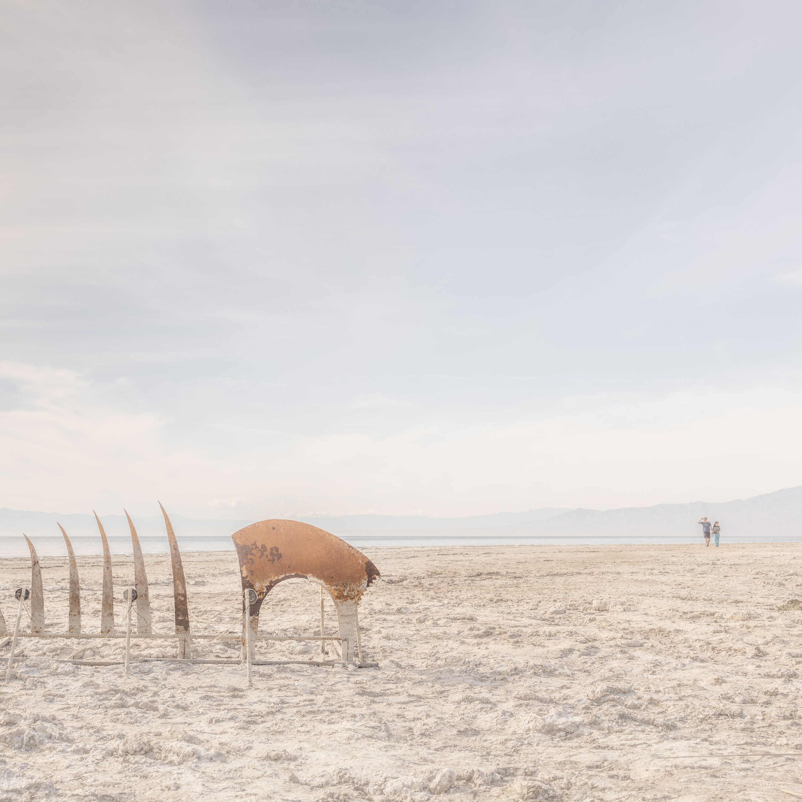 Salton Sea Legends. Olga Serebryannaya Travel Photography