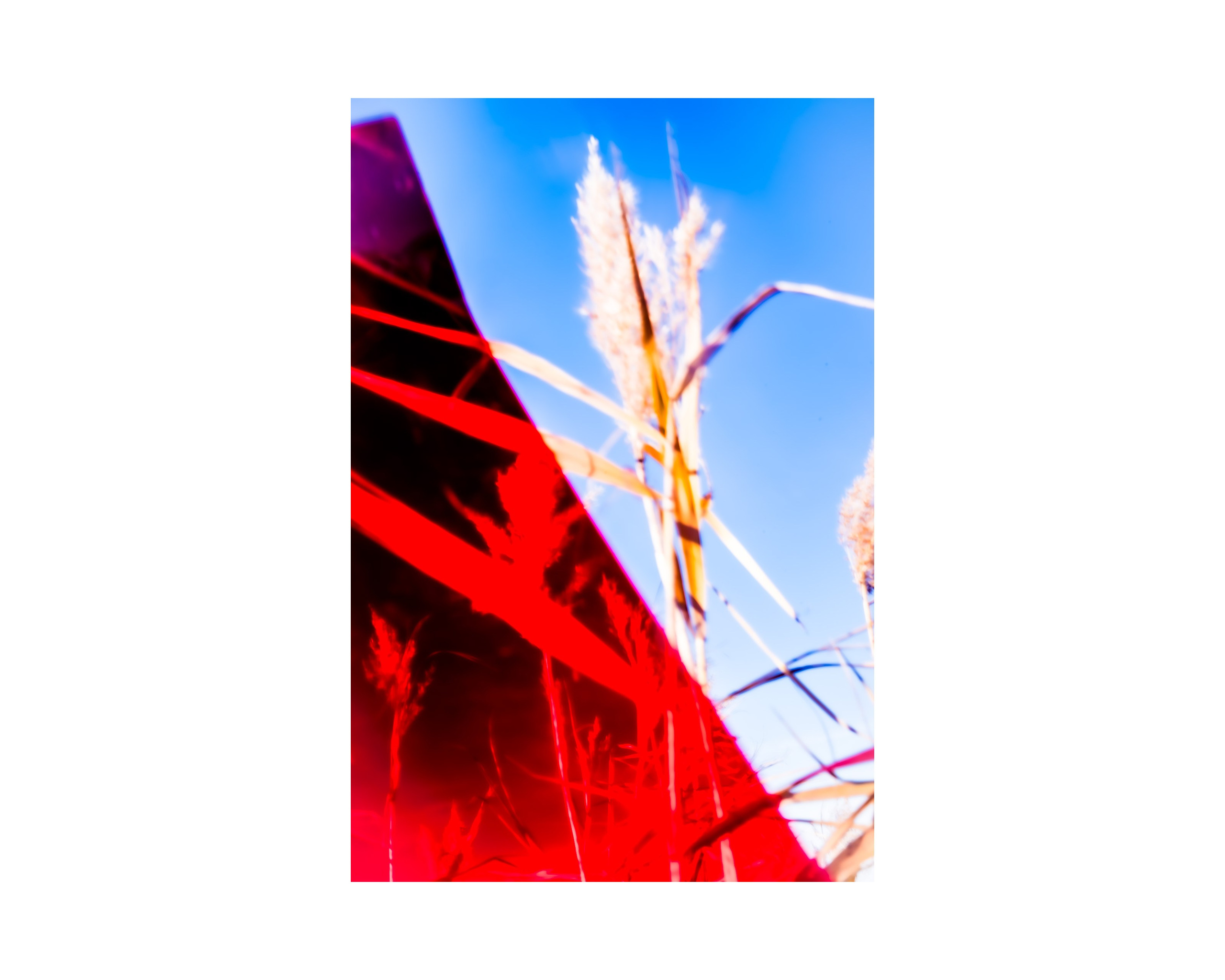 Nature from Exaggerated Worlds. Ekaterina Tsurkina-Appina Photography Canada