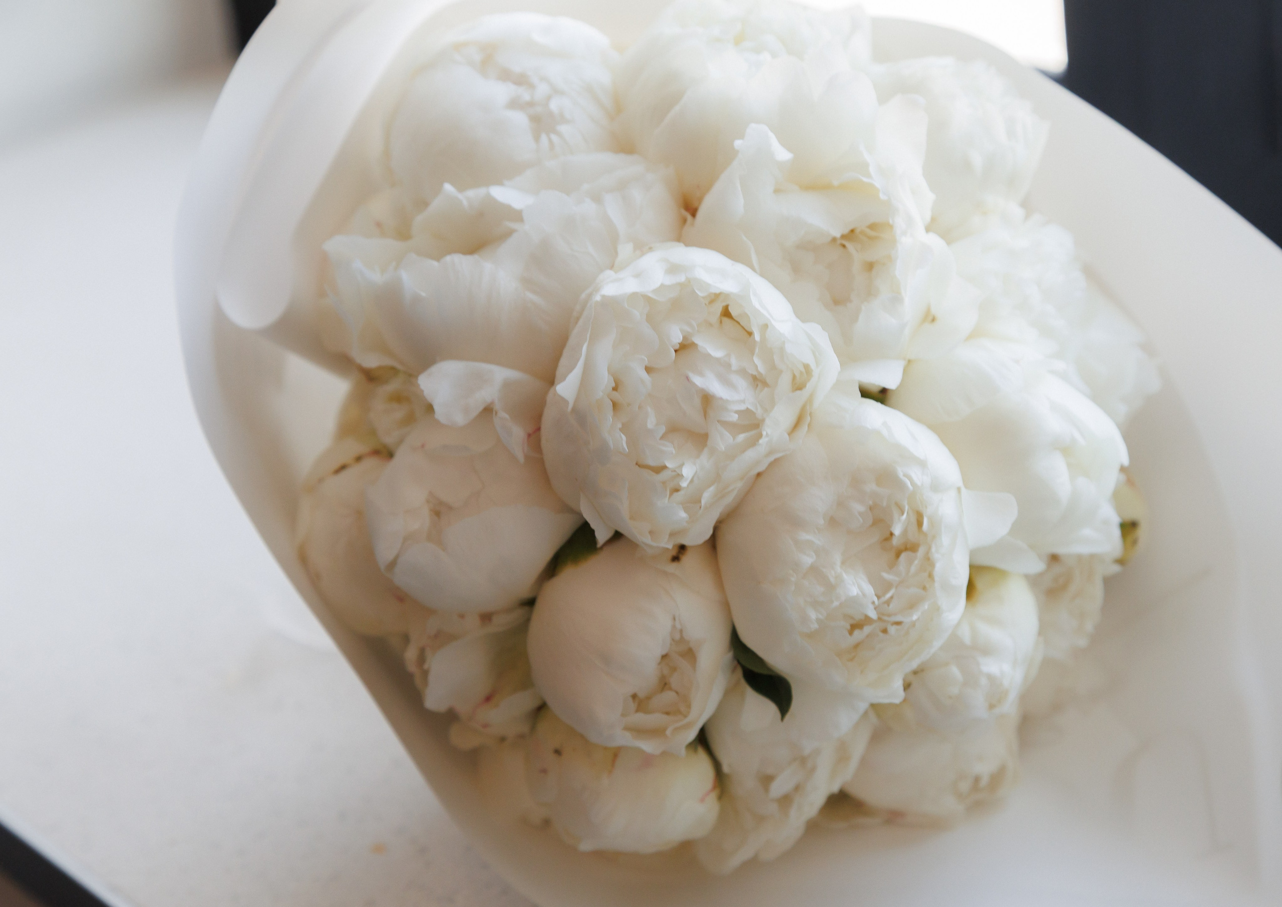 Сборы+прогулка+церемония+фуршет. Wedding photographer Batumi Tbilisi Georgia