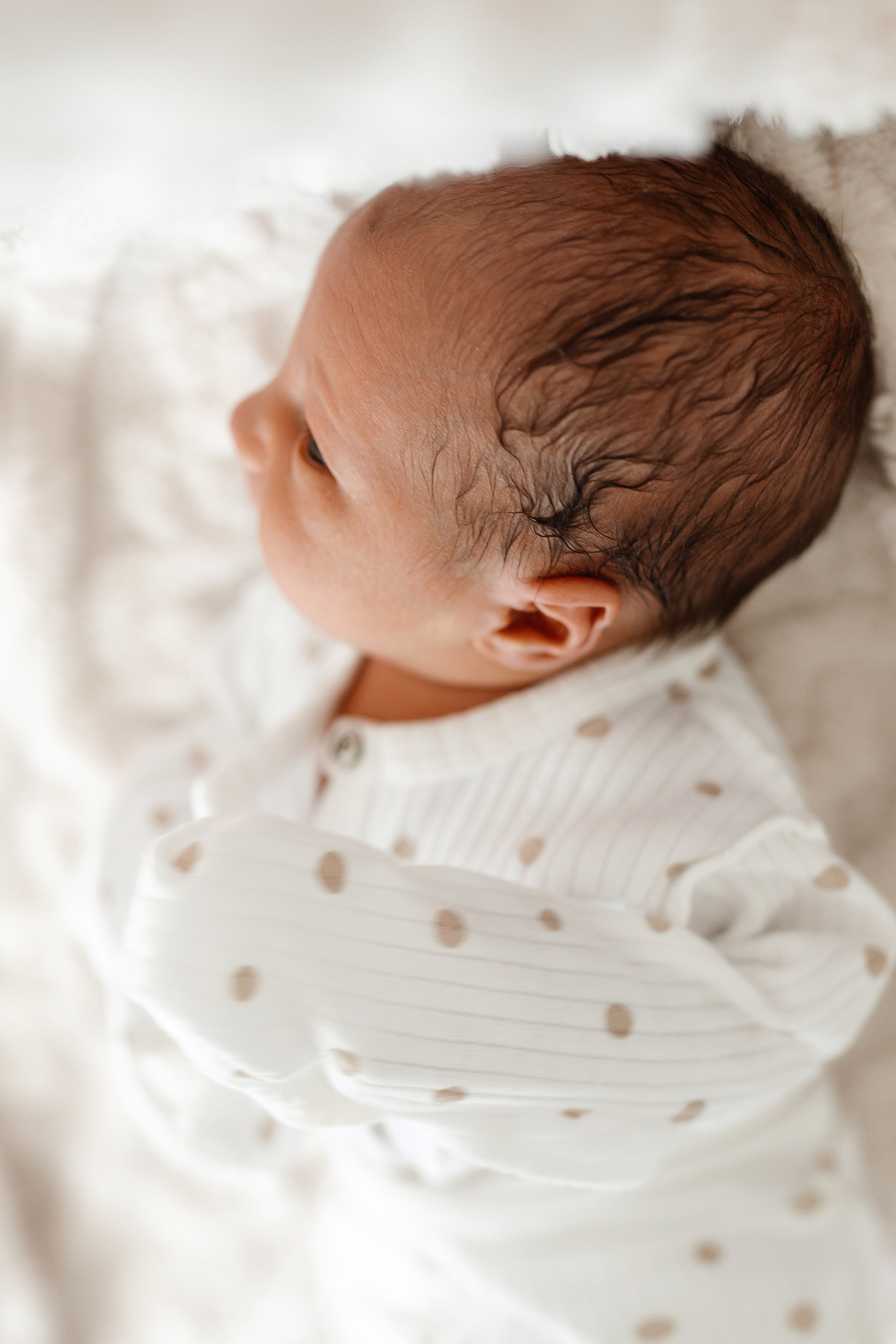 Vaniușa | primele zile de viață. Home