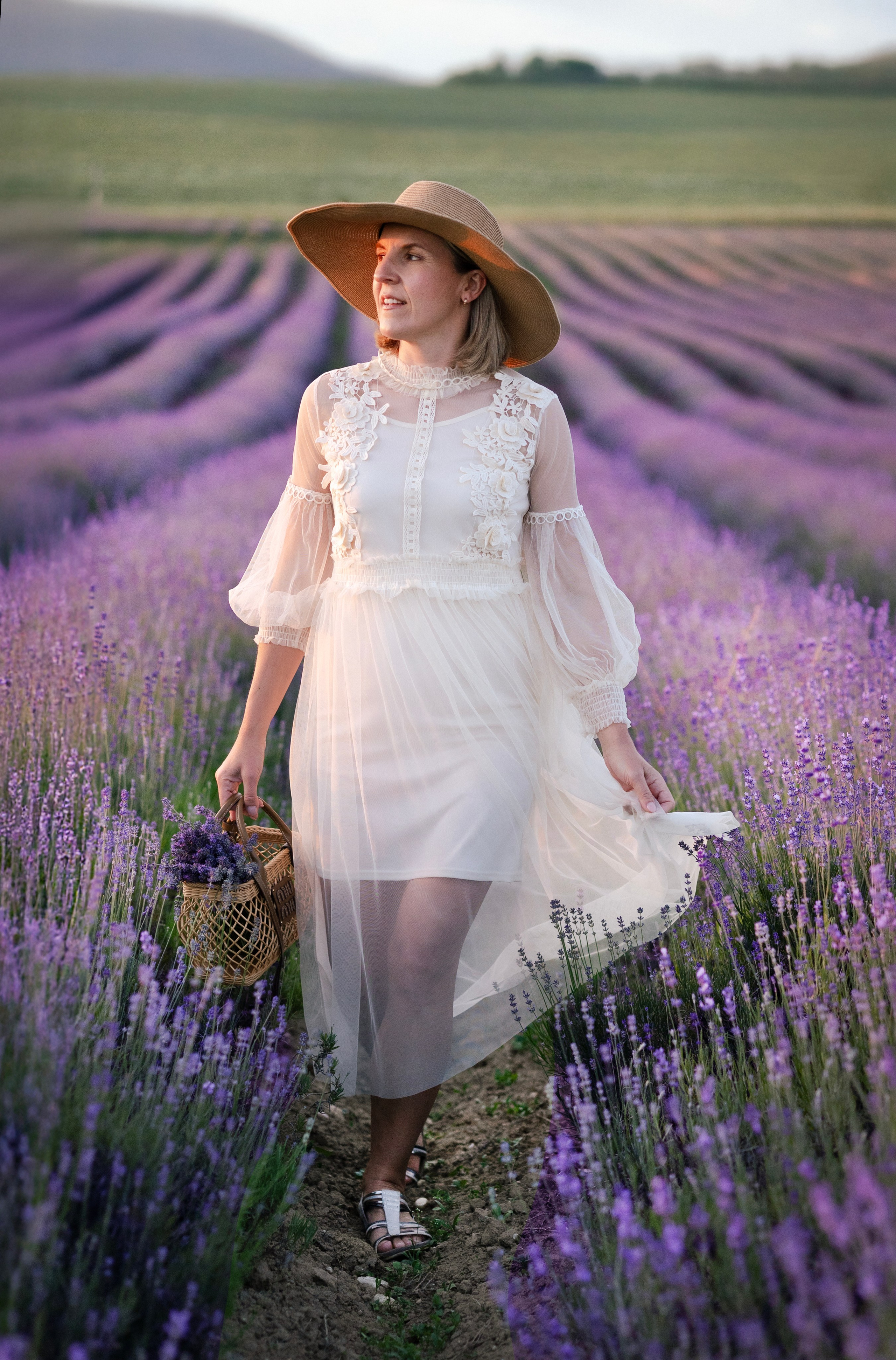 Lavendel. Photographer in Munich