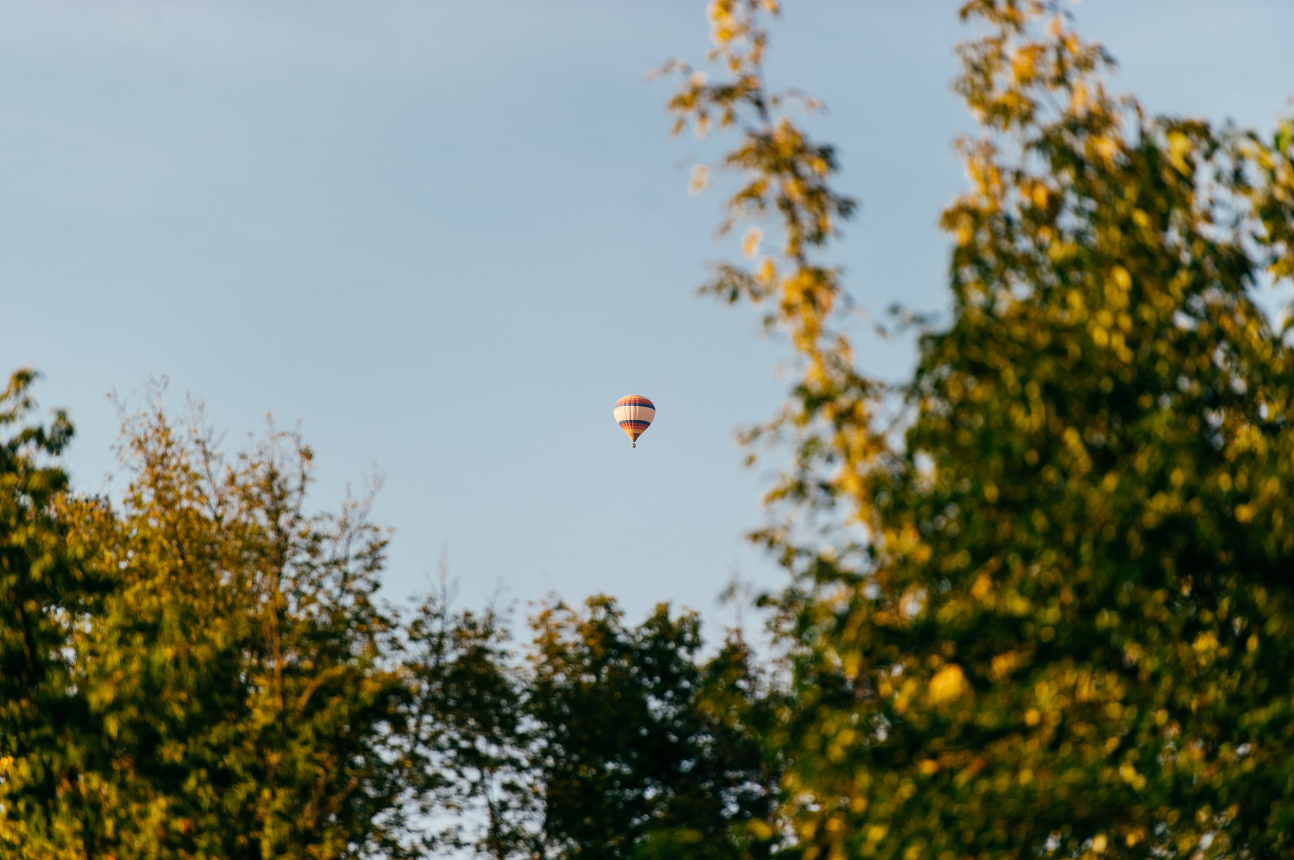 Maria & Maxim. Fotograf de familie și evenimente