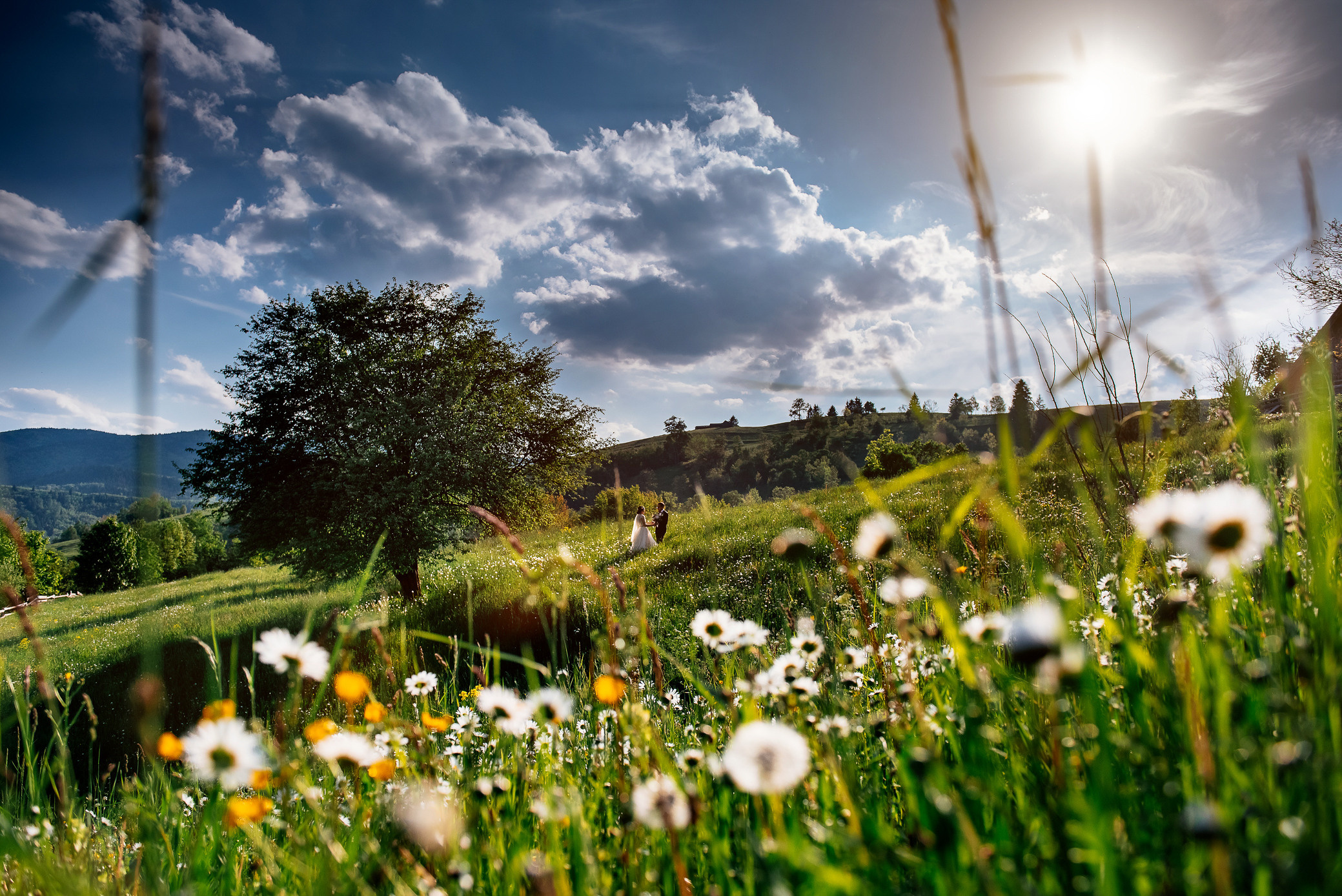 Ana & Octavian. Fotograf de familie și evenimente