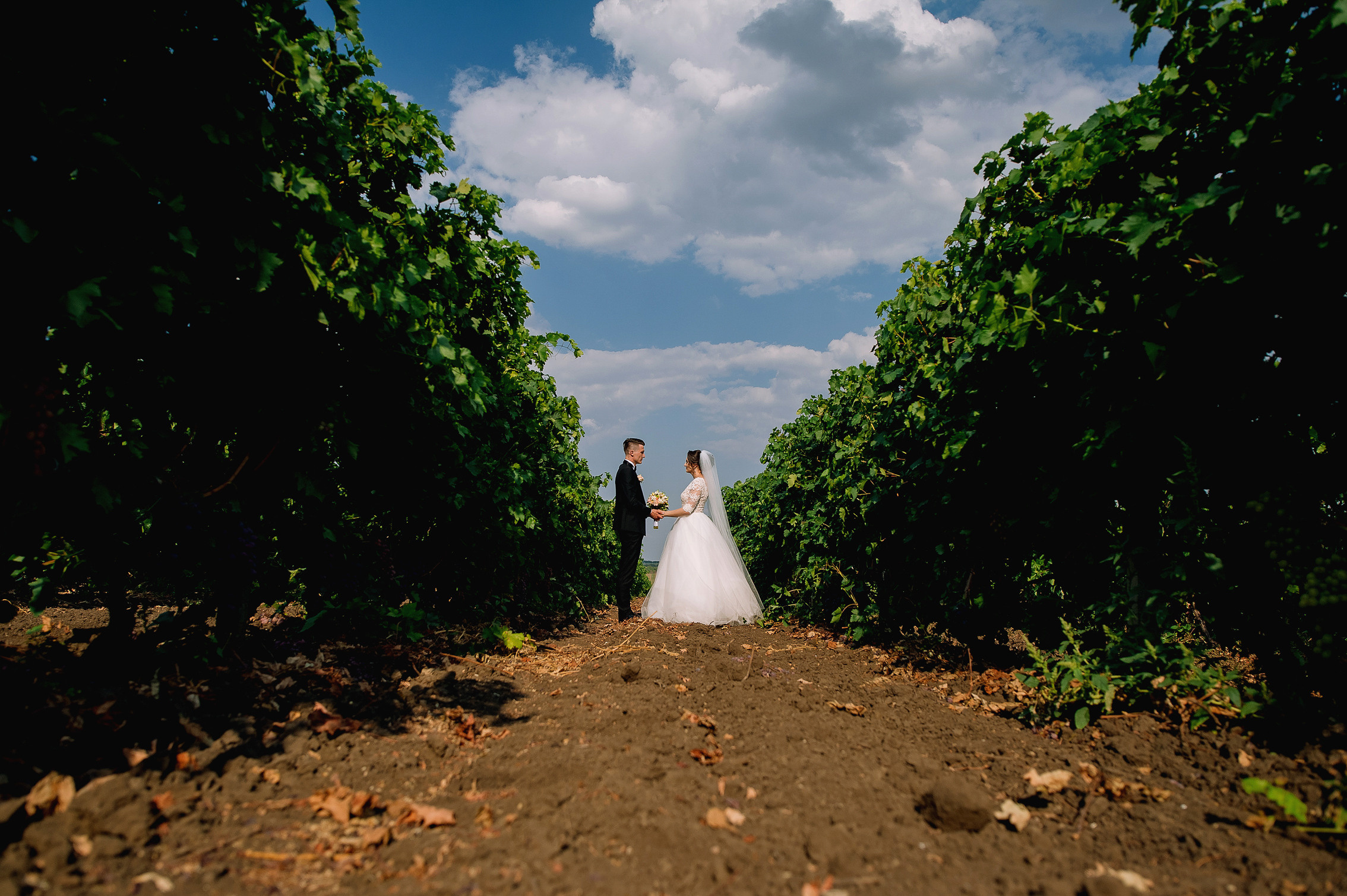 Olga & Andrei. Fotograf de familie și evenimente