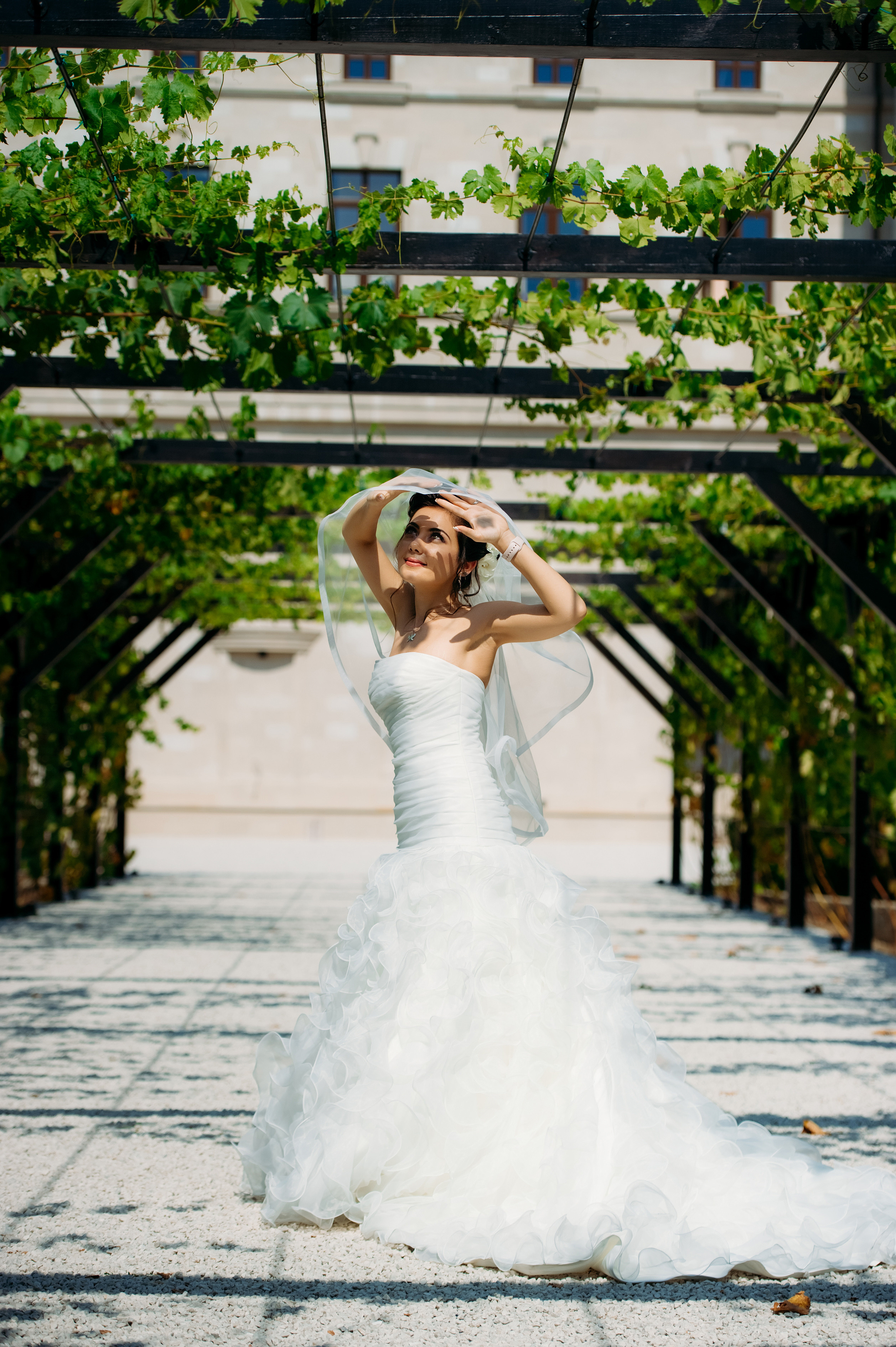 Viorica & Daniel. Fotograf de familie și evenimente