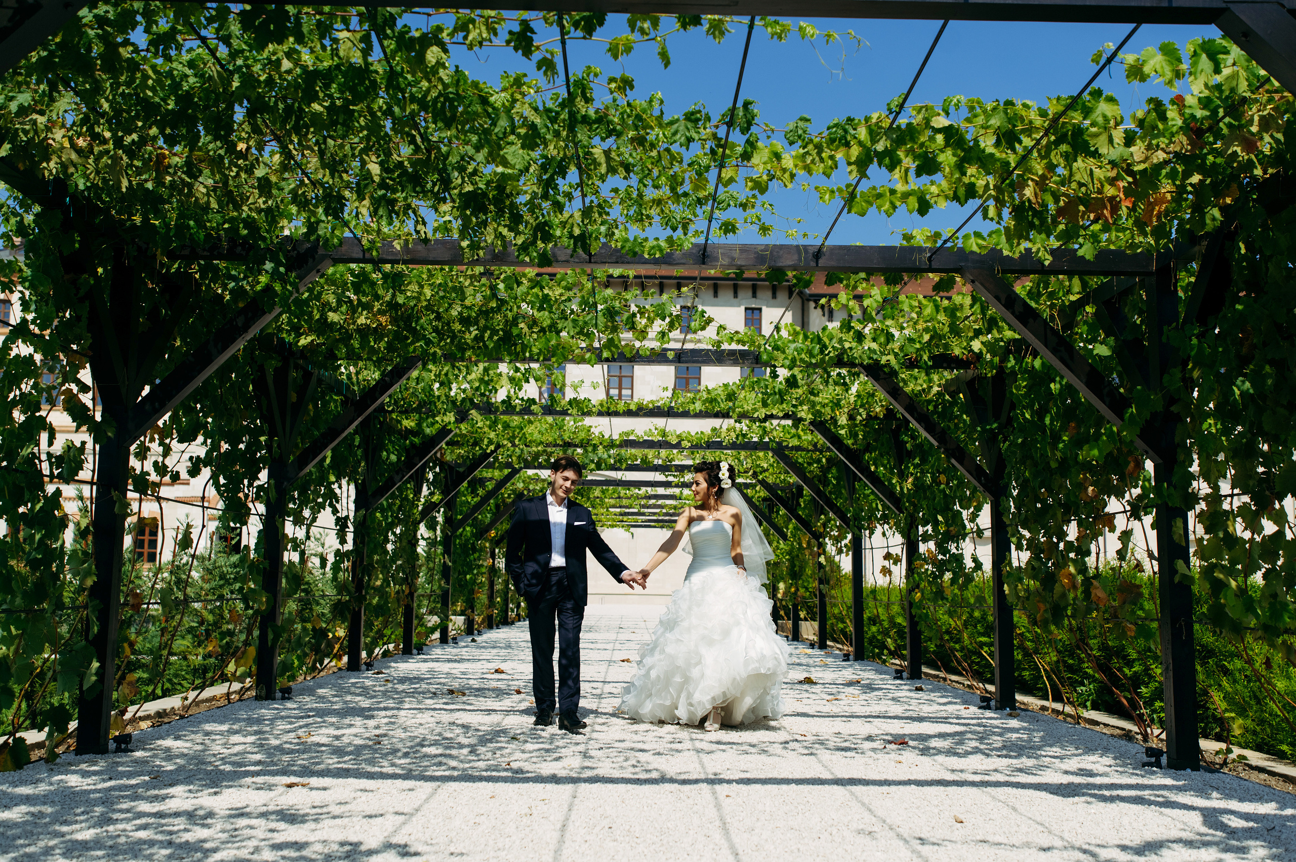 Viorica & Daniel. Fotograf de familie și evenimente
