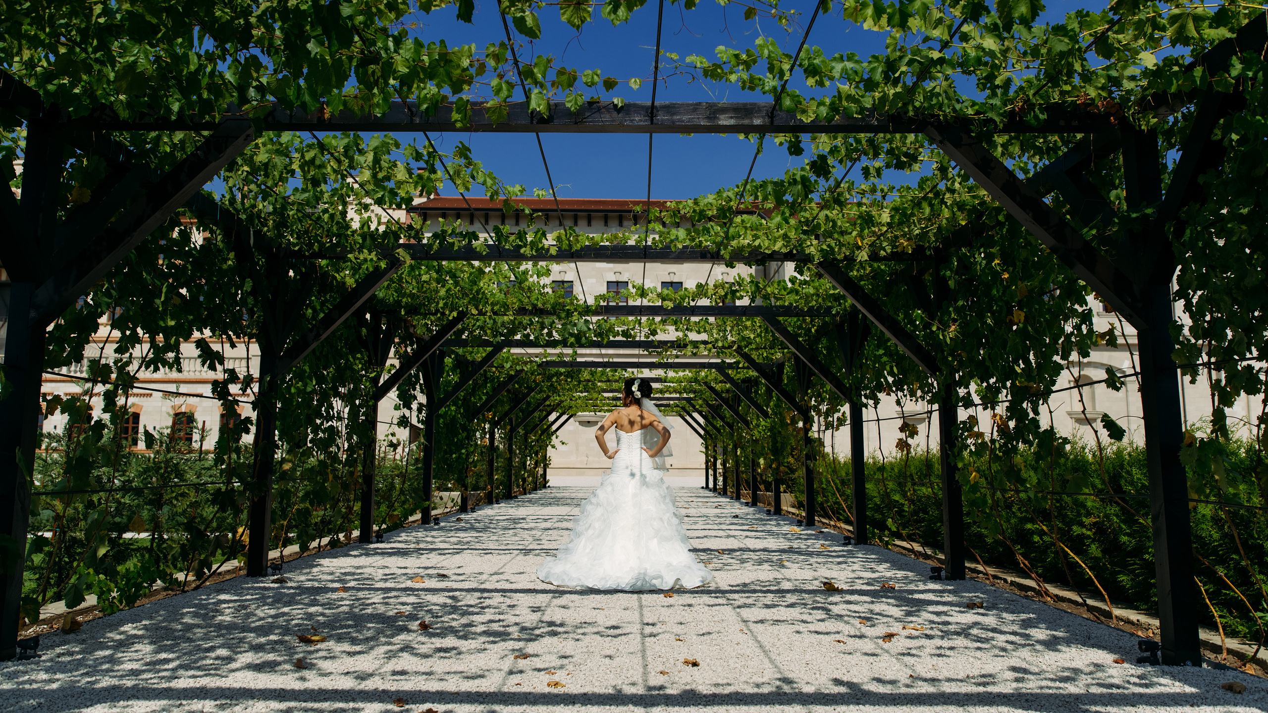 Viorica & Daniel. Fotograf de familie și evenimente